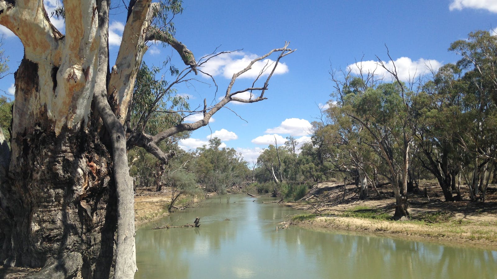 Chowilla Game Reserve And Regional Reserve