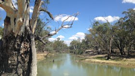 Chowilla Game Reserve And Regional Reserve