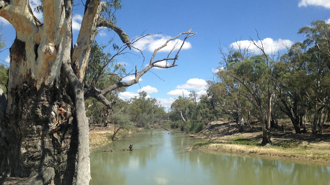 Chowilla Game Reserve And Regional Reserve
