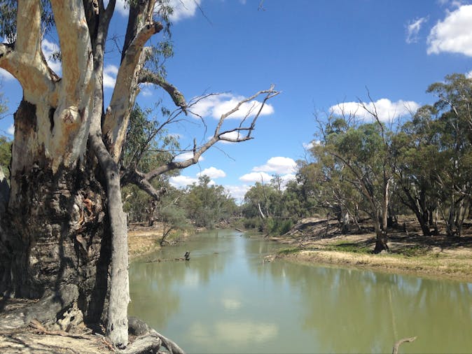 Chowilla Game Reserve And Regional Reserve