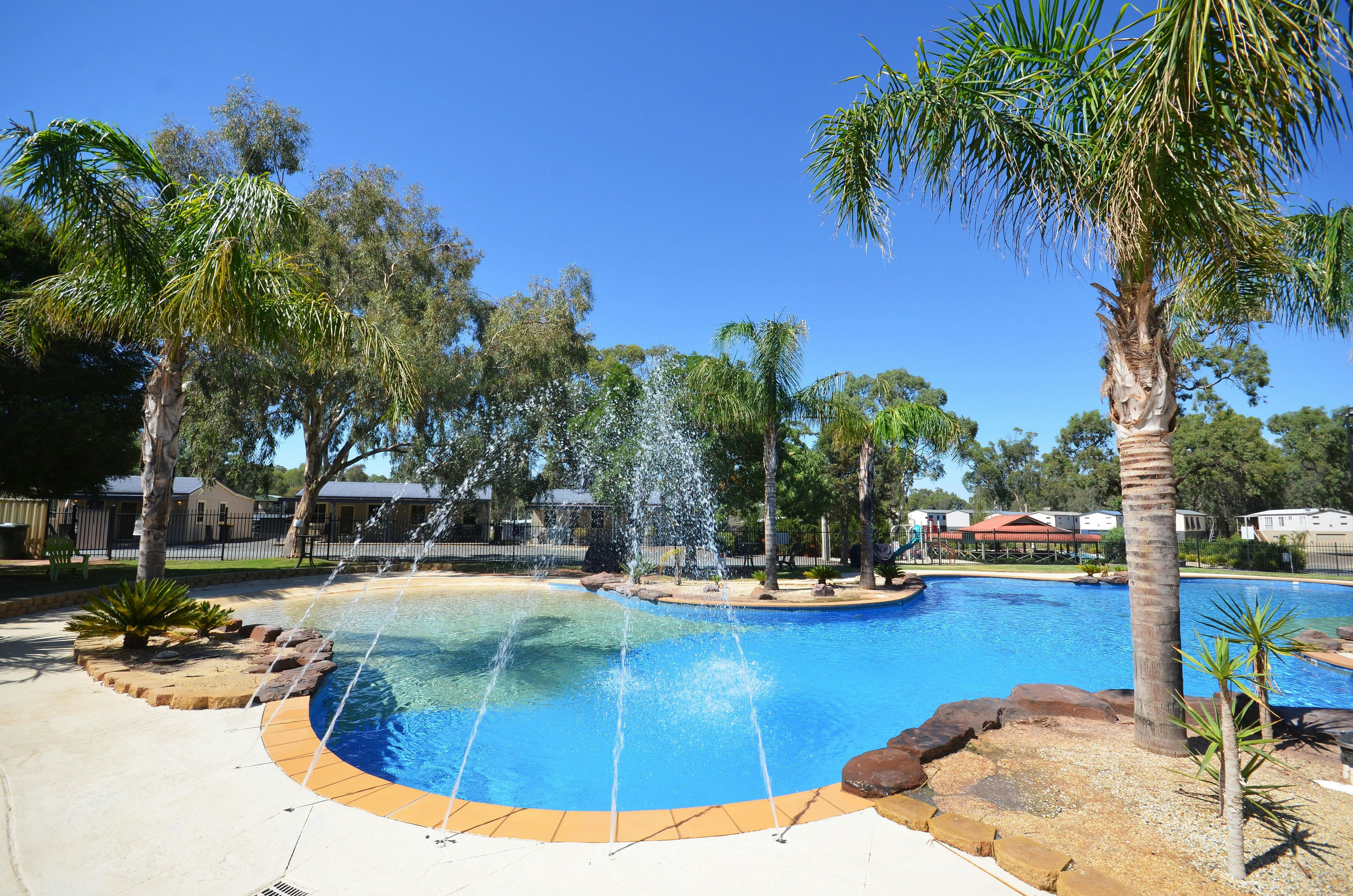 Swimming pool with palms