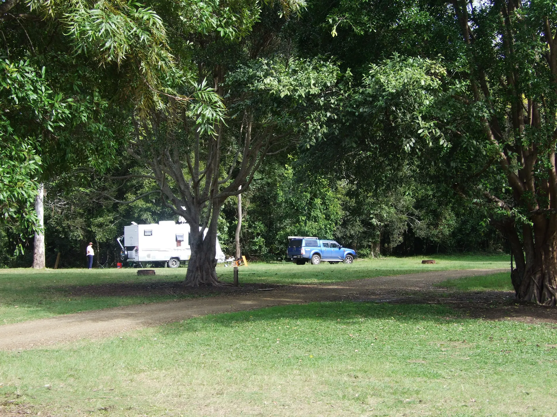 Caravan set on open grassy space in shade of tall trees.