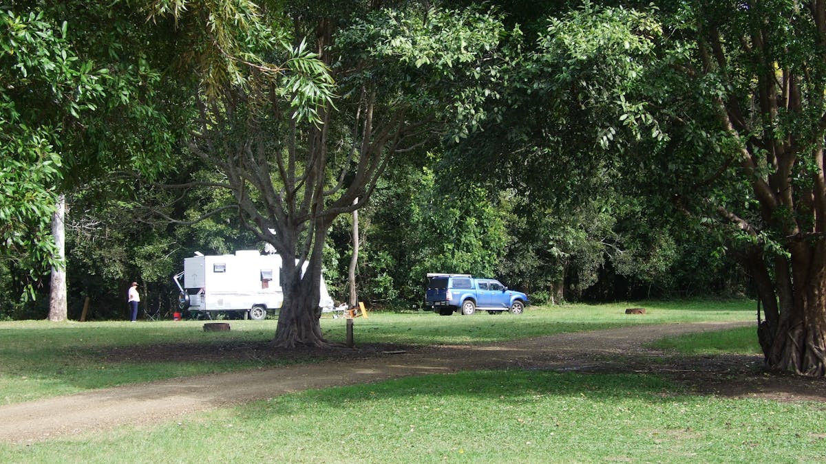Caravan set on open grassy space in shade of tall trees.