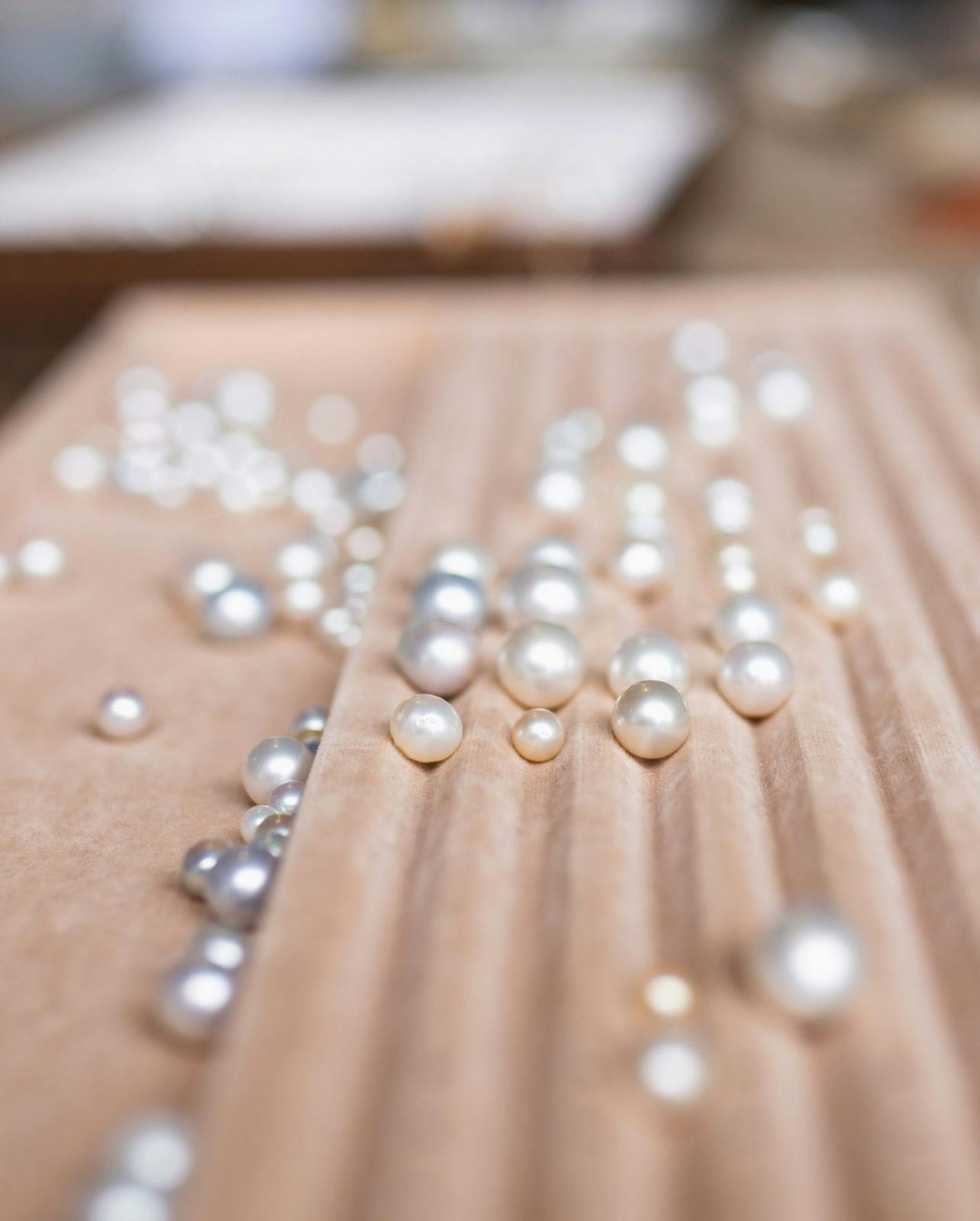 Pearl Grading at Cygnet Bay