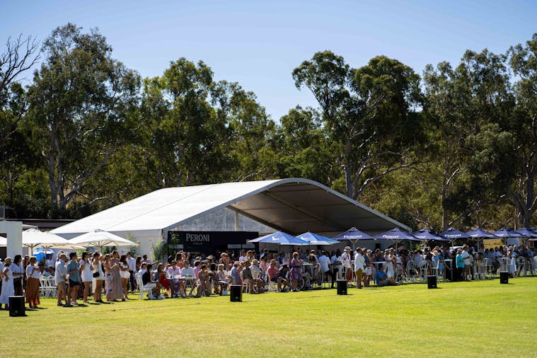 Vale Polo Classic