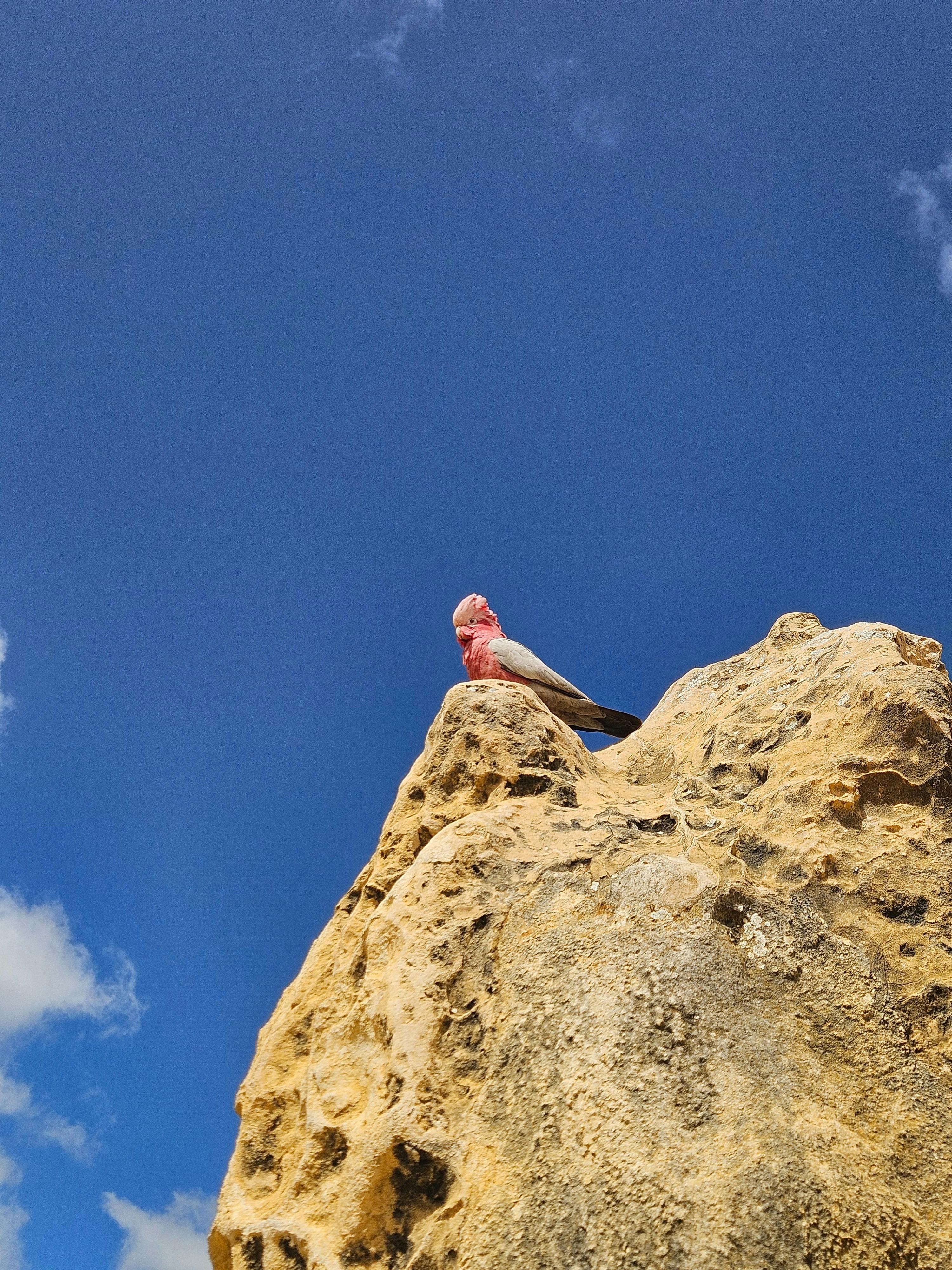 The Pinnacles