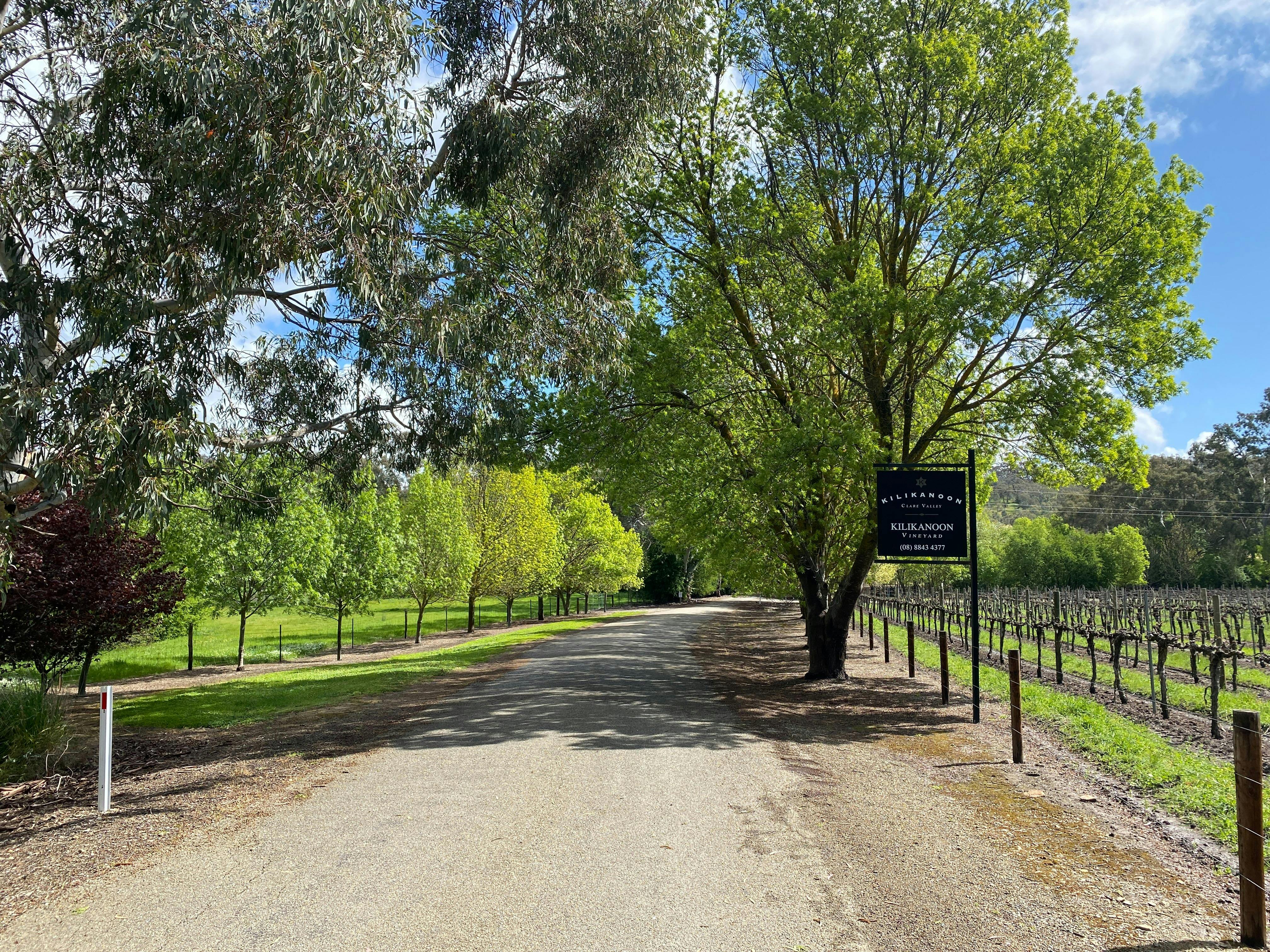 Clare Valley Wine Tour & Lunch