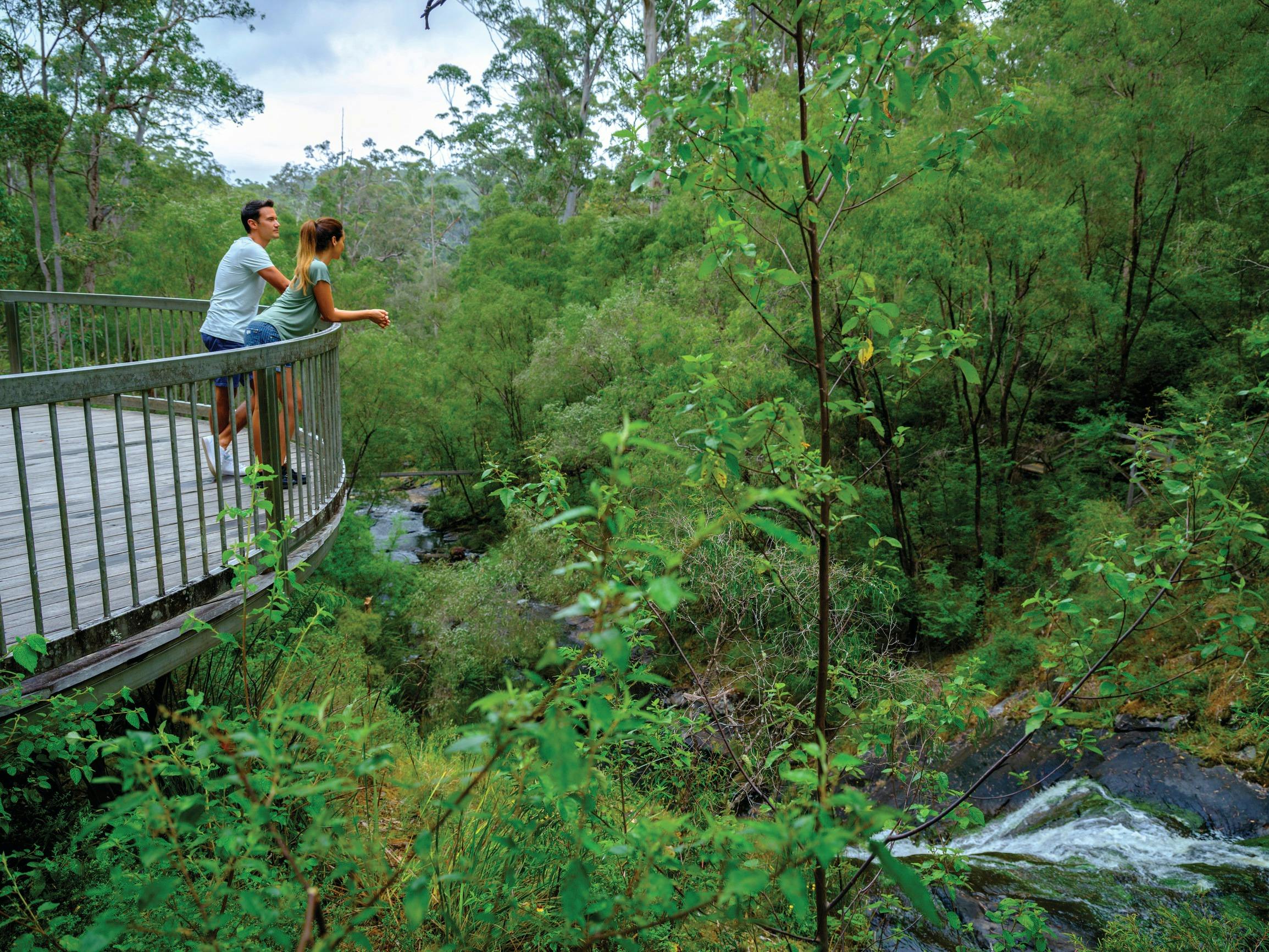 Beedelup Falls, near Pemberton, Western Australia