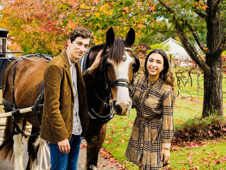 Hunter Valley Classic Carriages