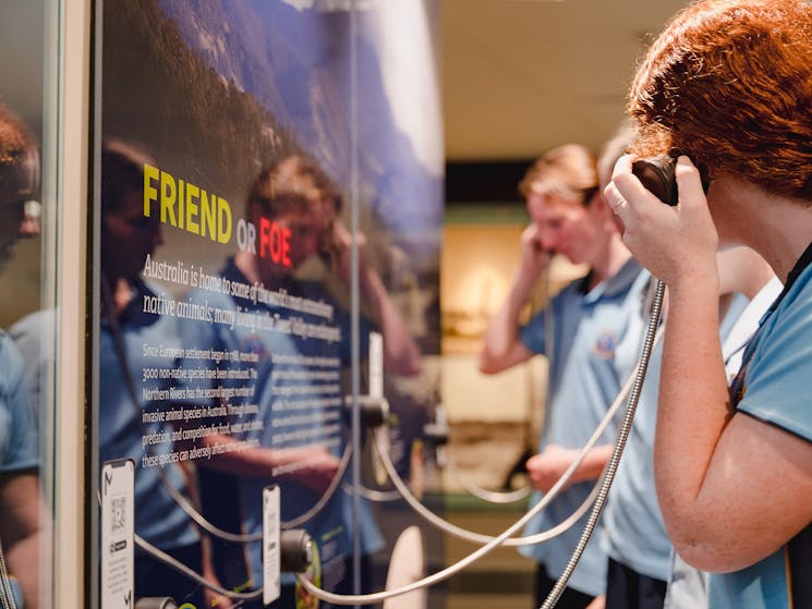 People listening to audio of native animals.