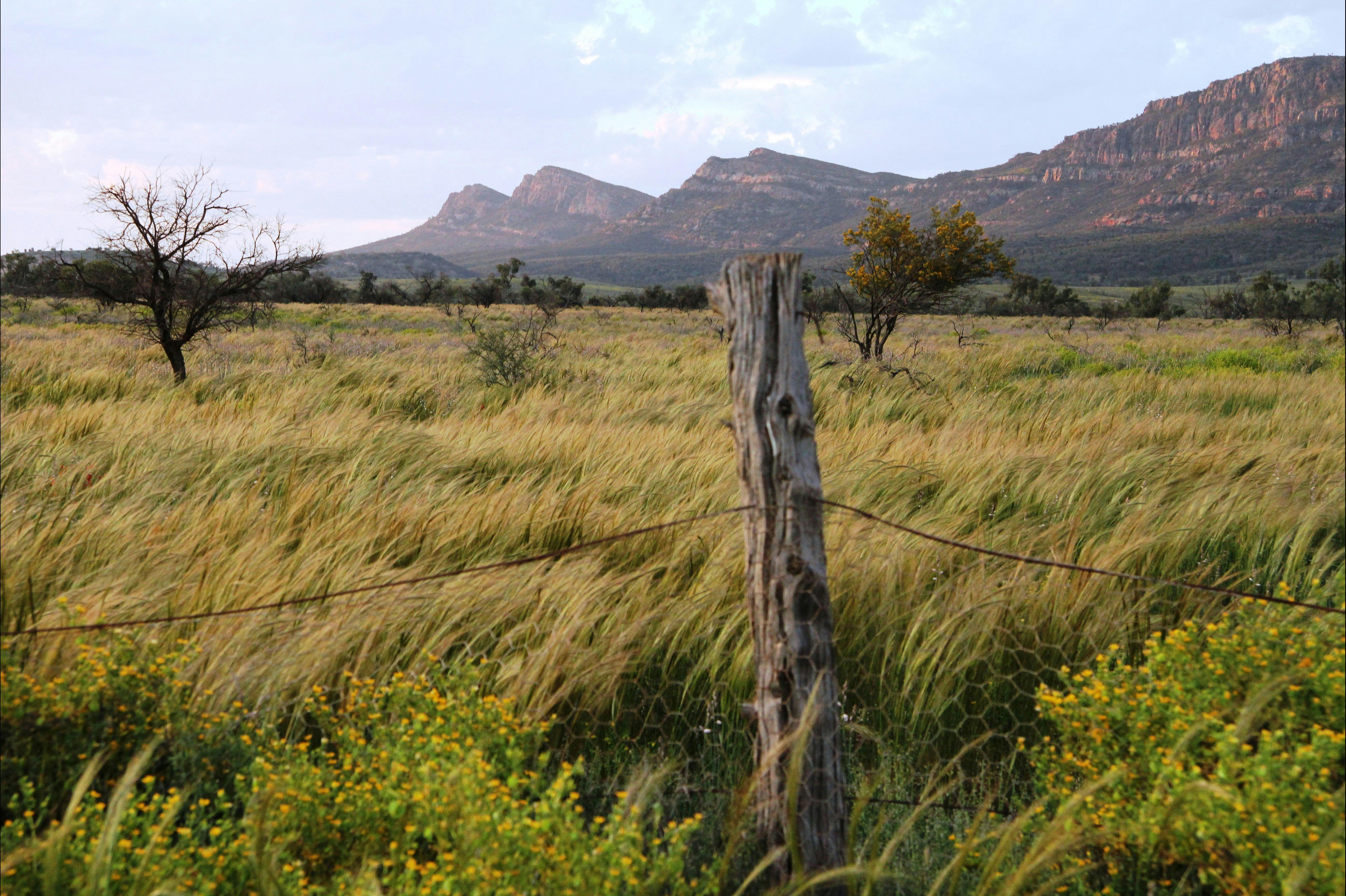 Spirit Safaris in South Australia