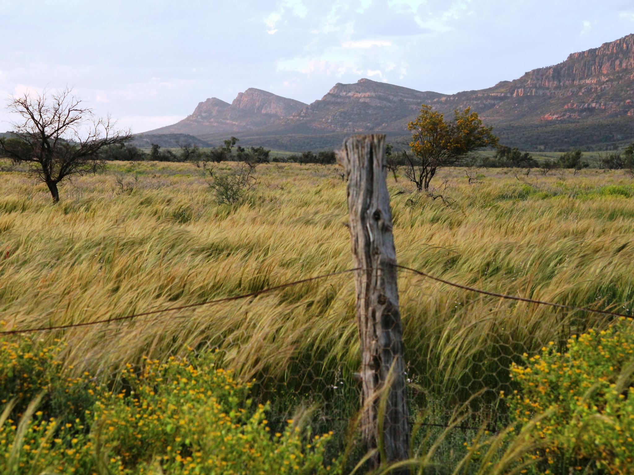 Spirit Safaris in South Australia Slider Image 4
