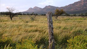 Wilpena Pound Flinders Ranges  tour with Spirt Safaris Outback & Wilderness Tours