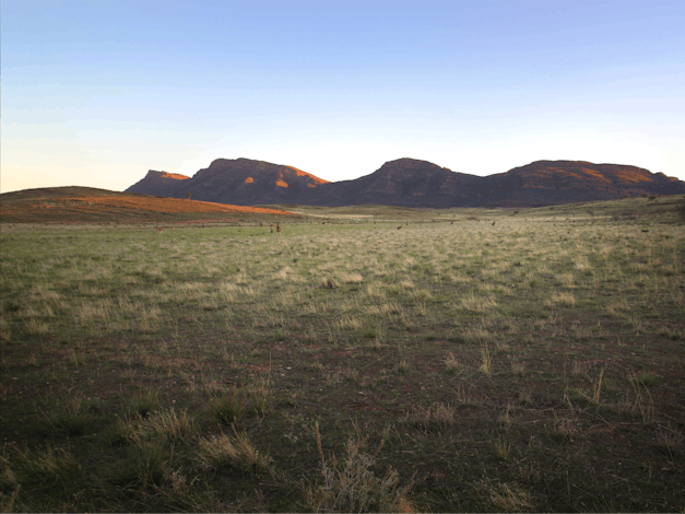 Ikara-Flinders Ranges National Park