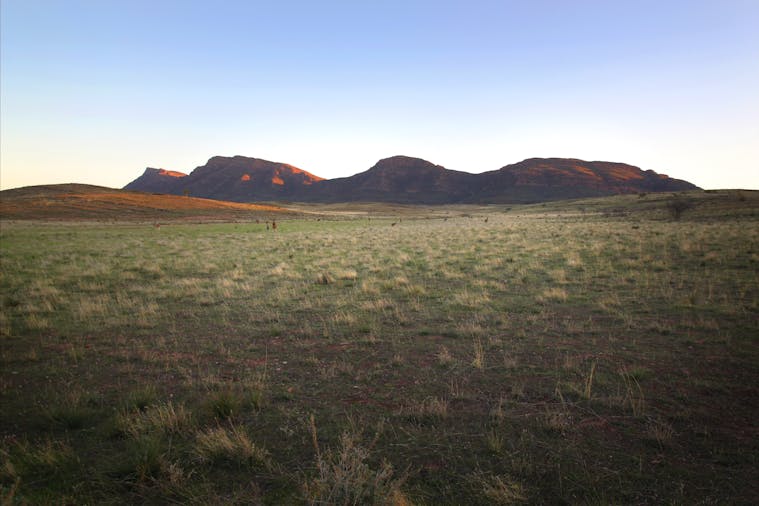 IkaraFlinders Ranges National Park
