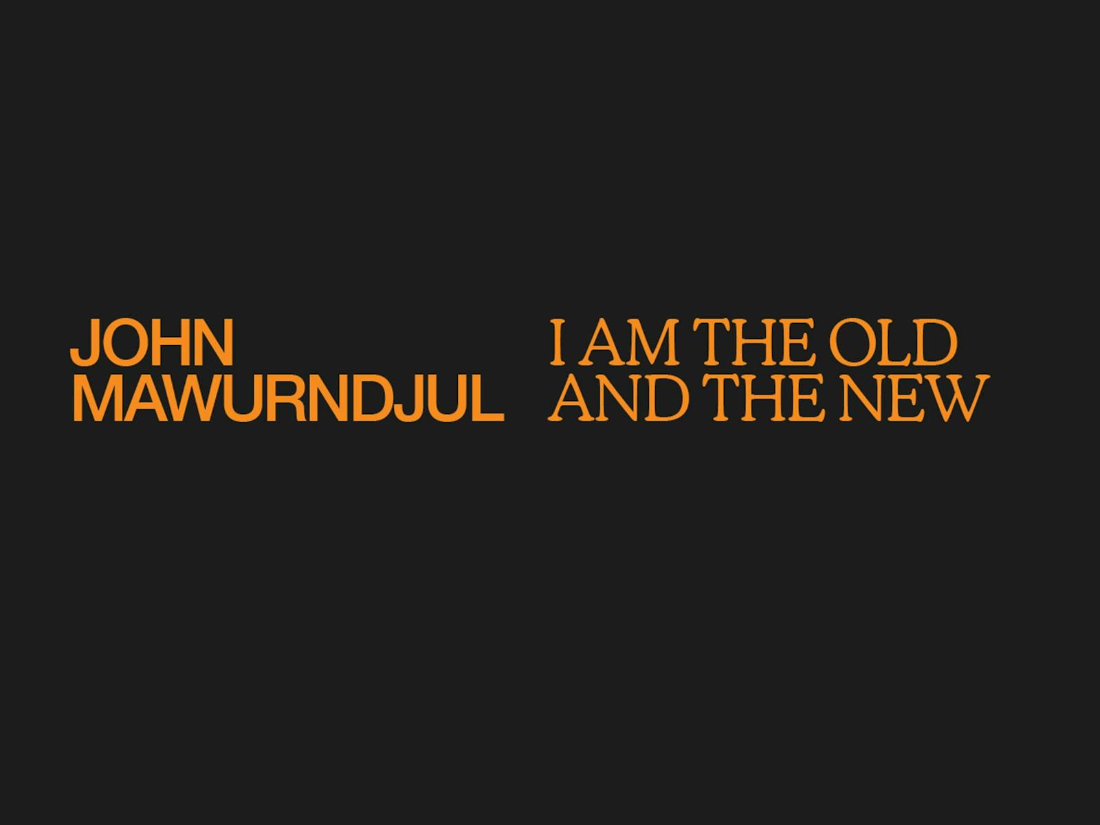 Image for Touring John Mawurndjul: I am the old and the new