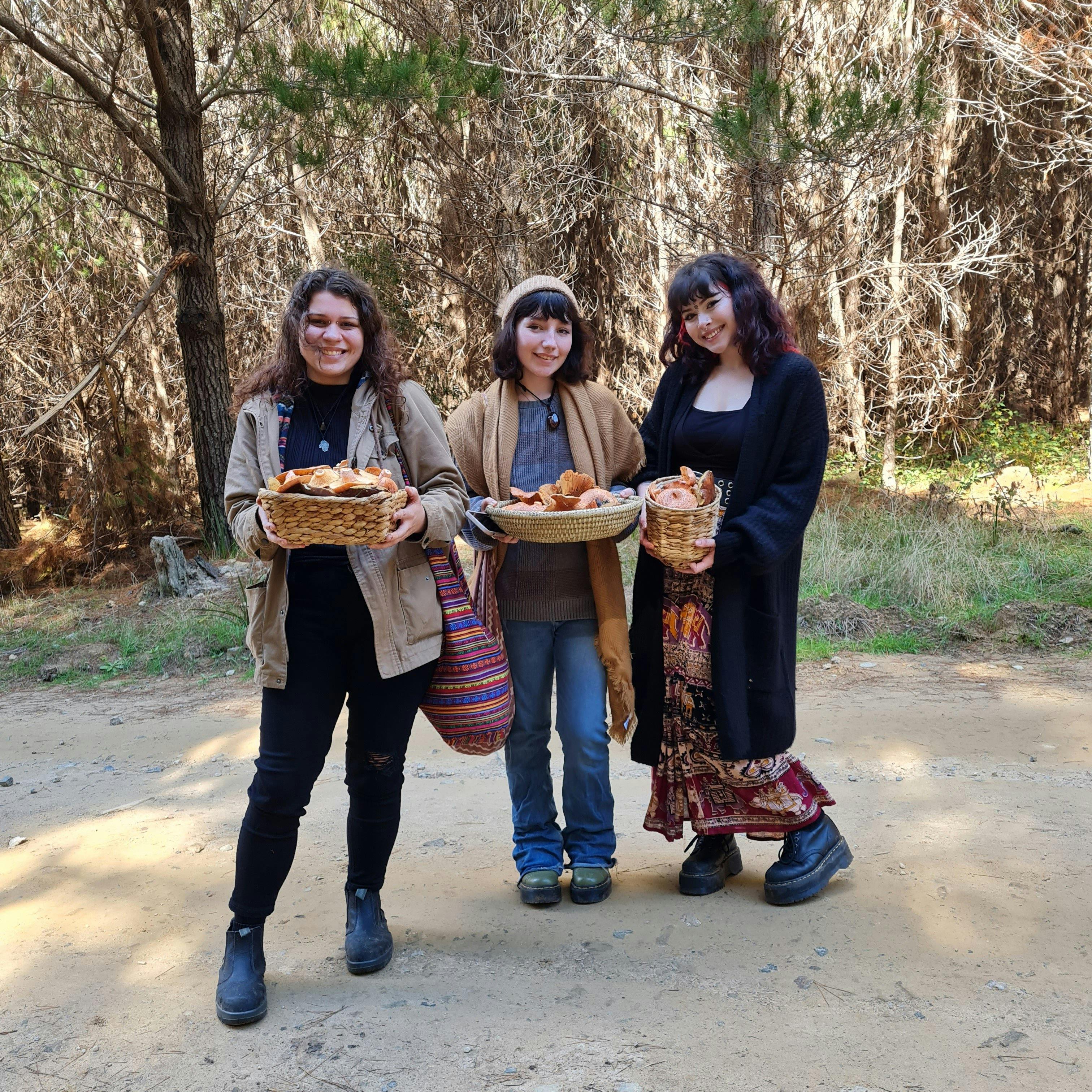 Wild Mushroom Hunt - Hampton State Forest