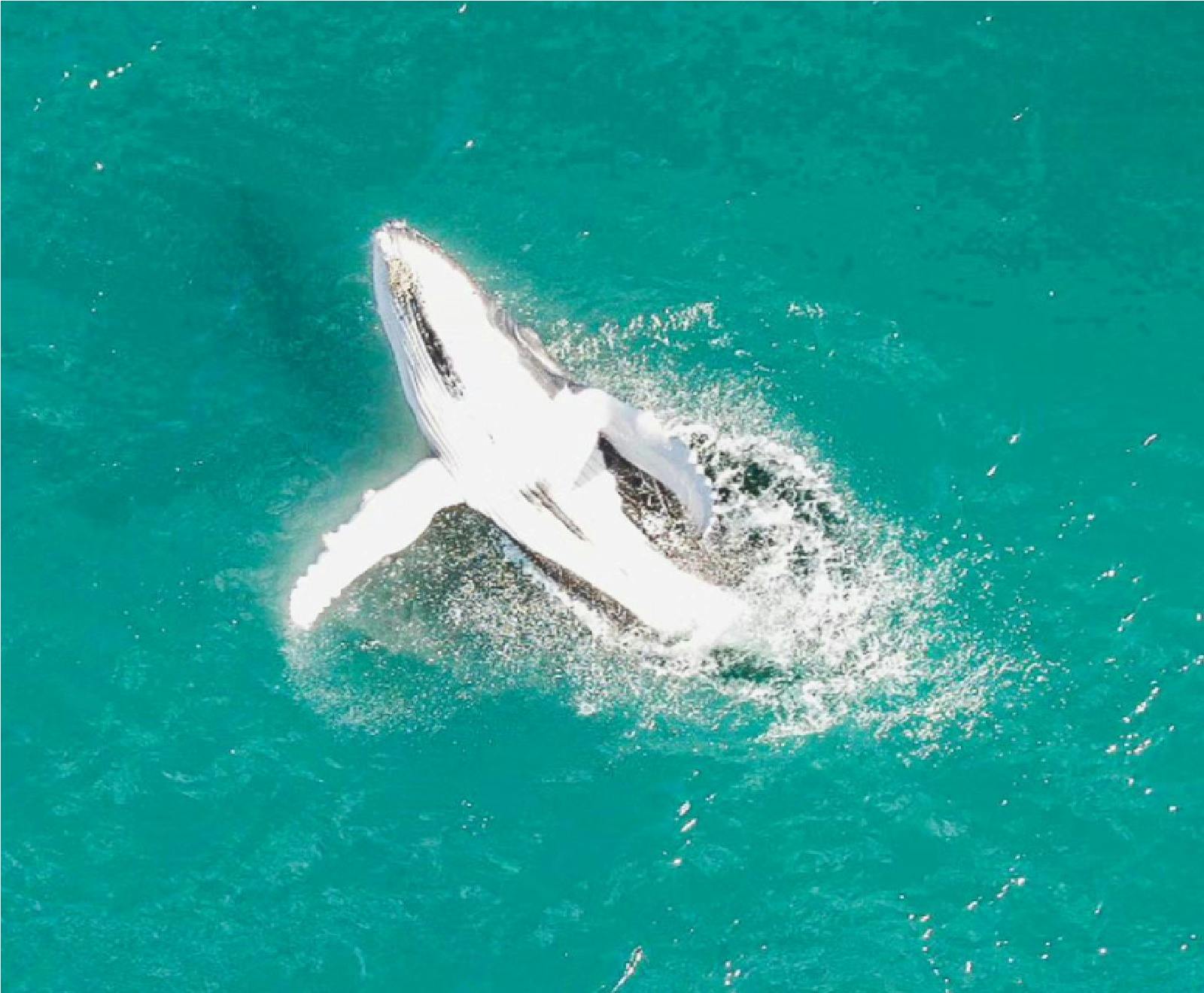 Solitary Islands Fishing Charters