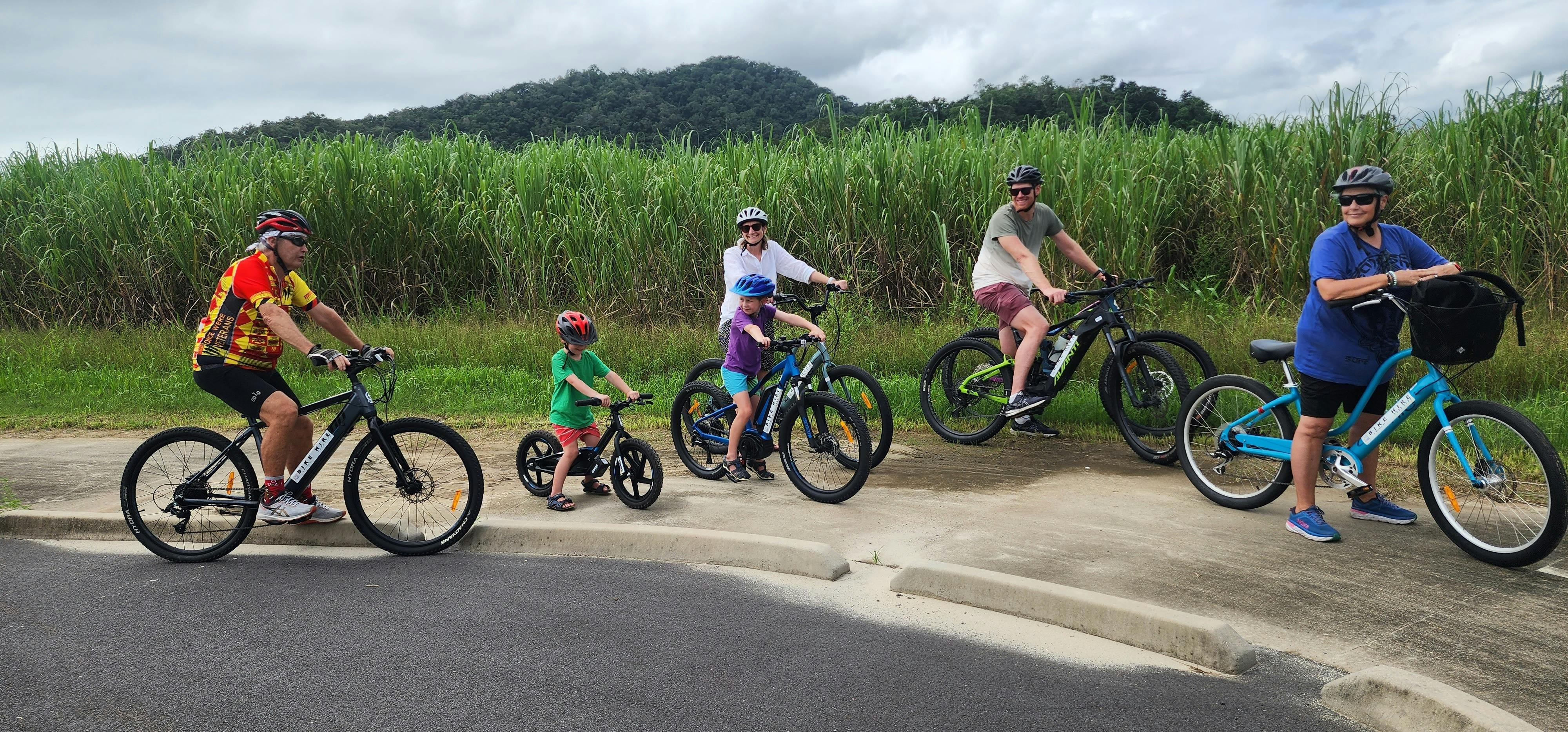 Passing the Sugarcane Fields