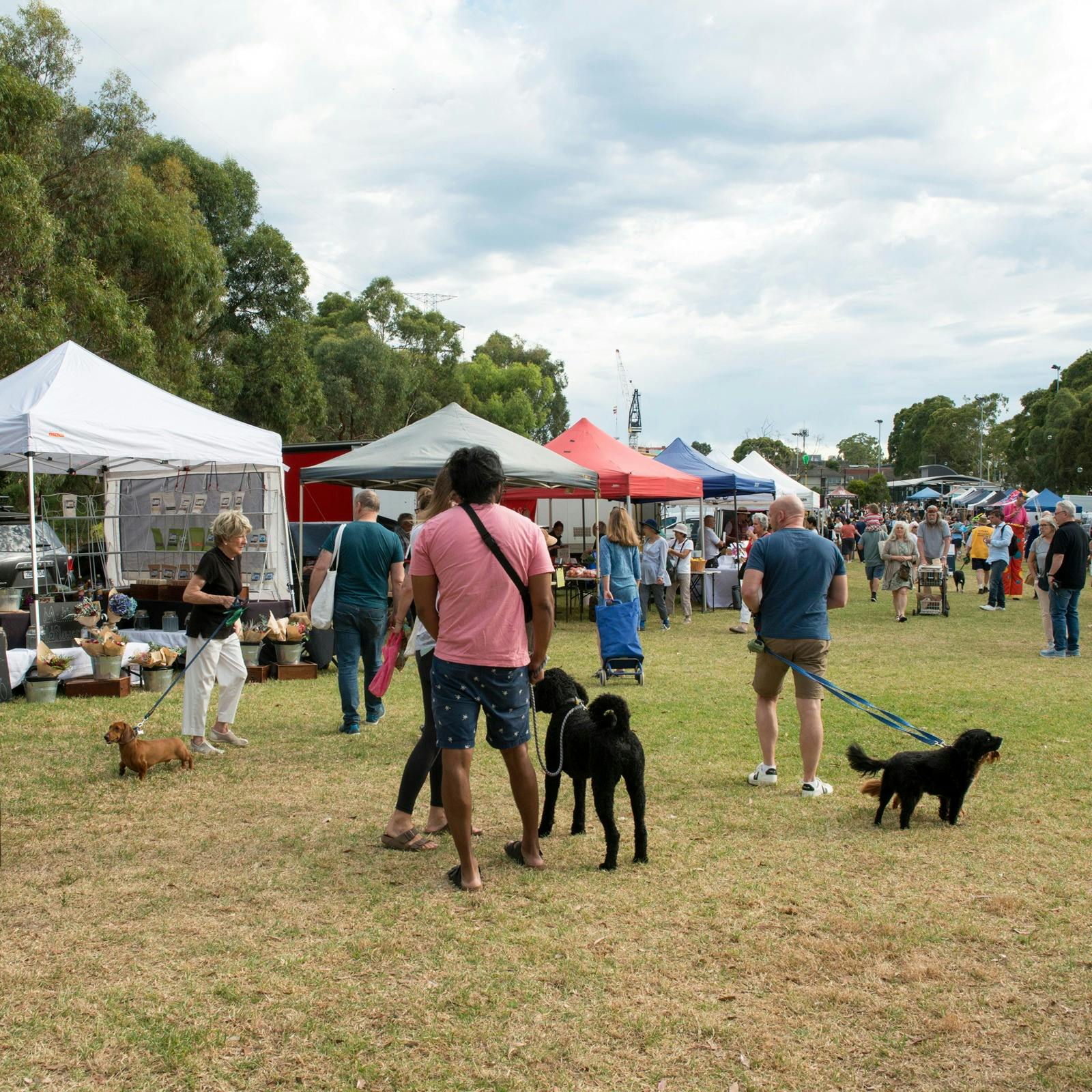 Boroondara Farmers Market