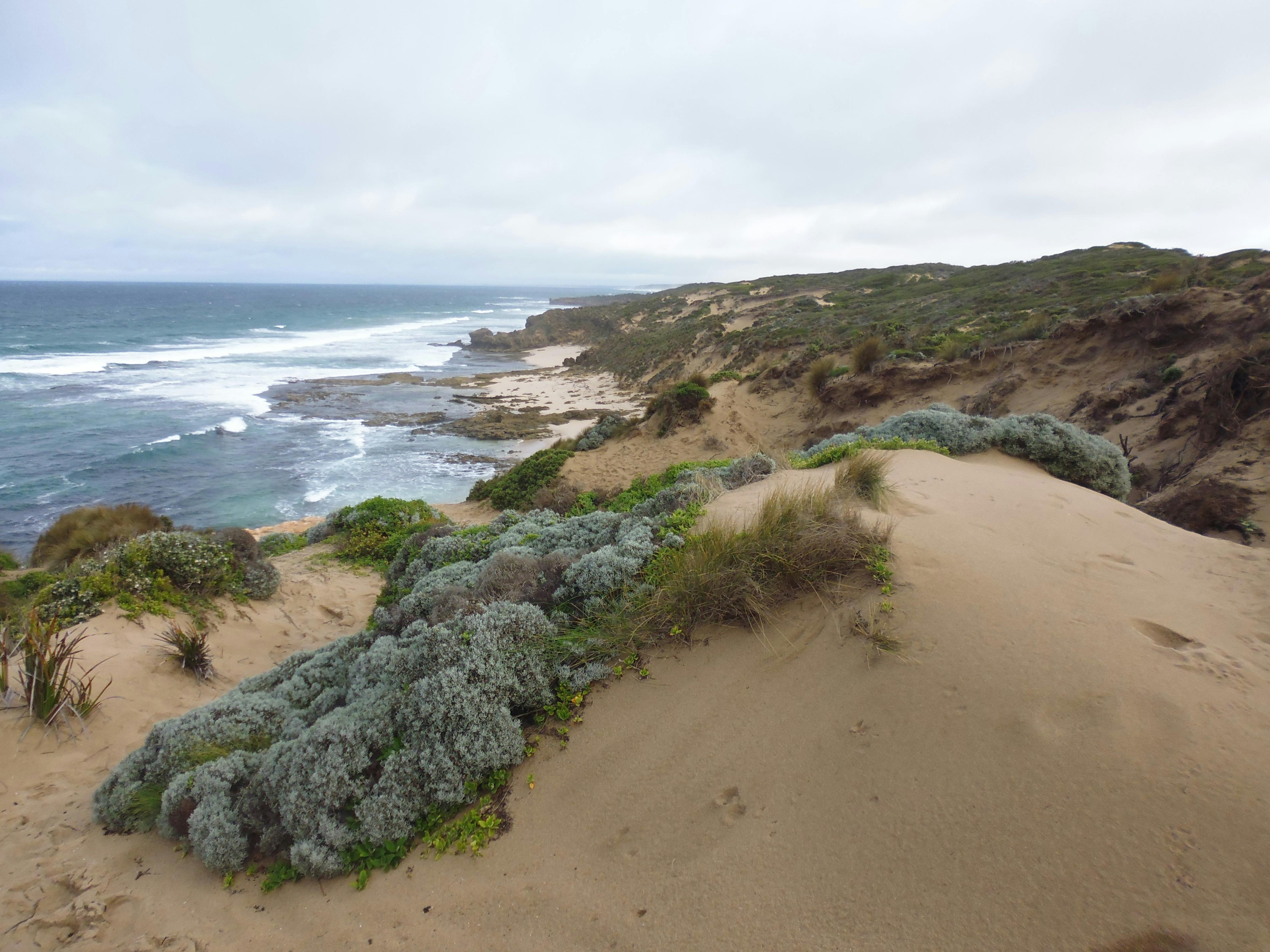 Number 16 Beach