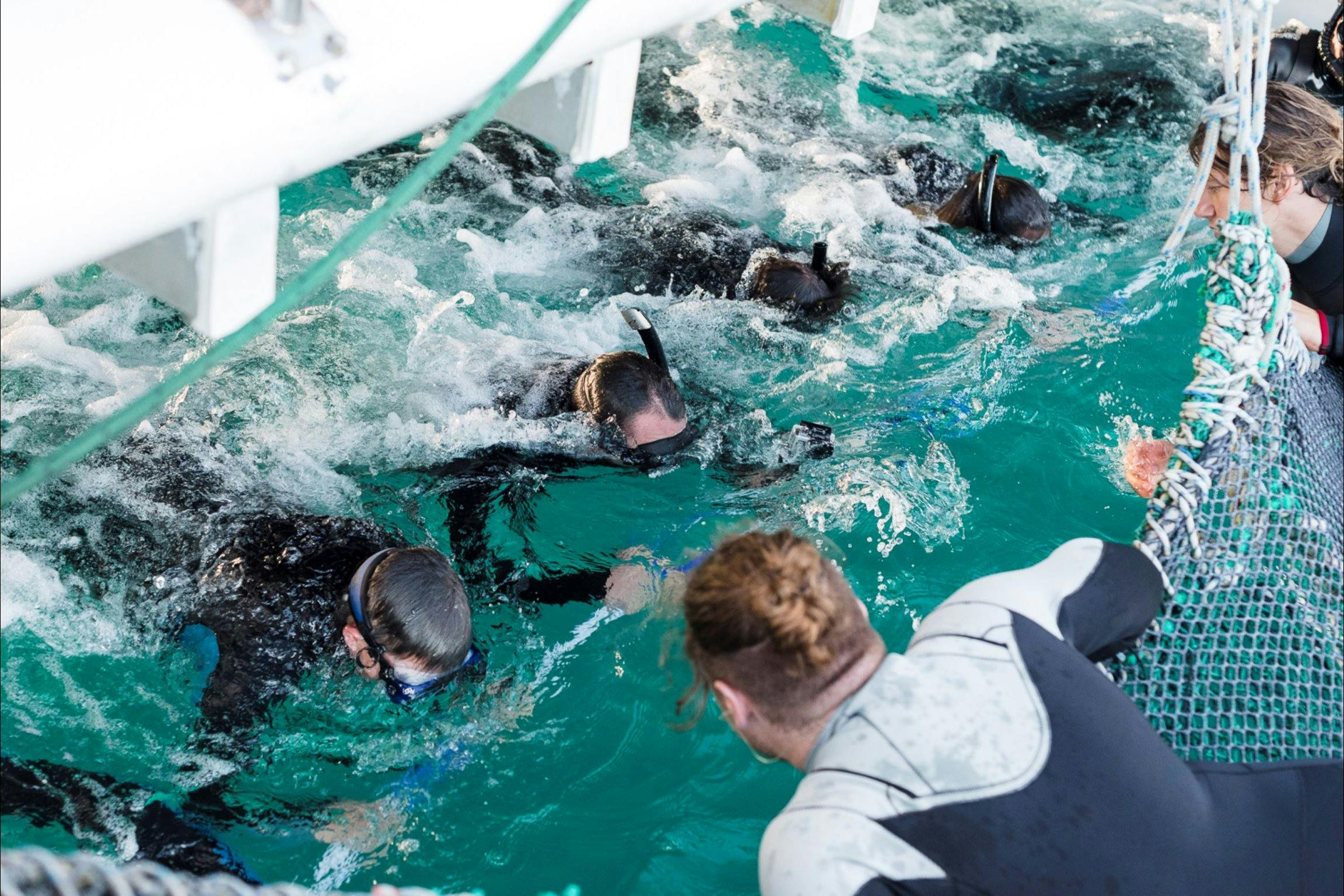Guests wear a safety harness which is attached to a line strung between the bows of the catamaran.