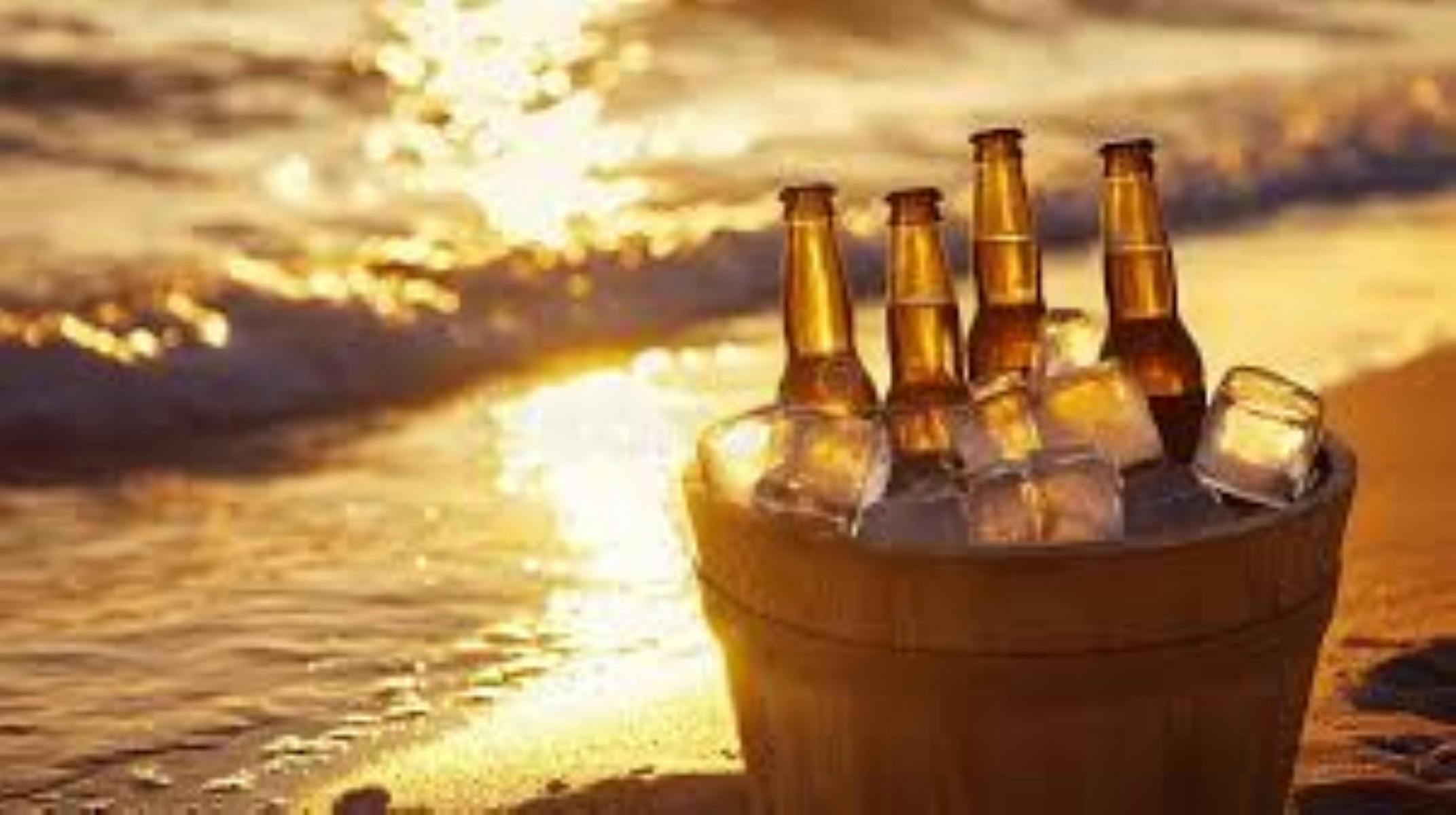 Brisbane Whale Watching