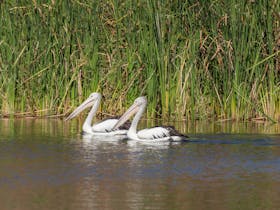 Triple J Tours, Kununurra, Western Australia