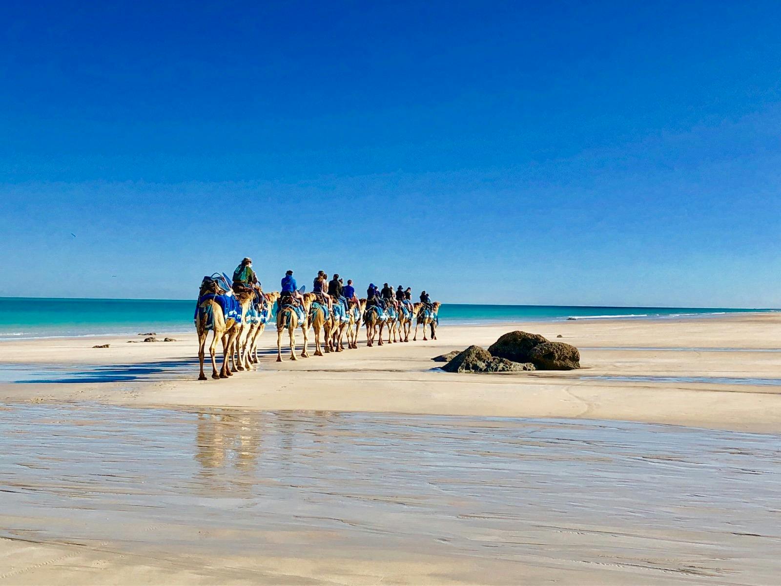 Broome Camel Safaris, Cable Beach, Western Australia