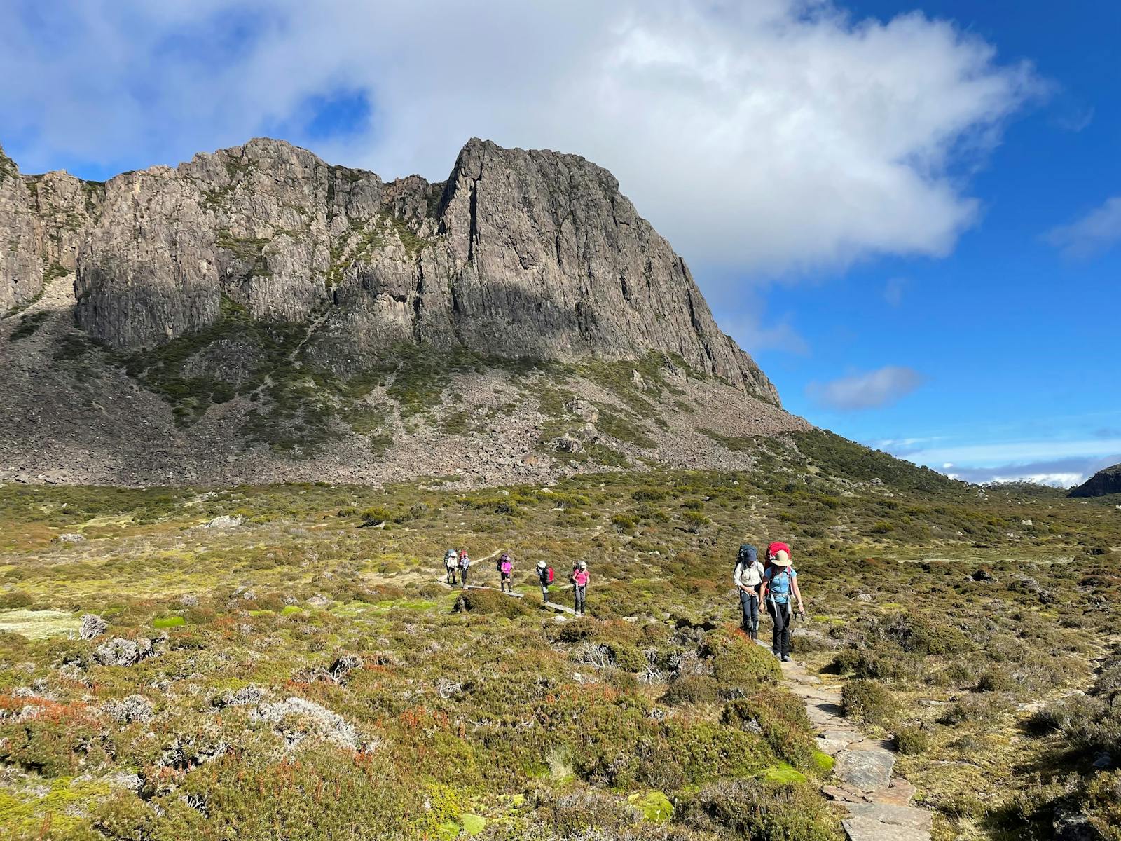 Trek Tasmania