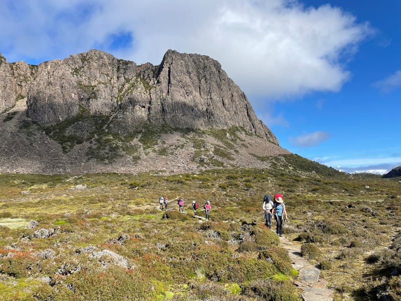 Trek Tasmania