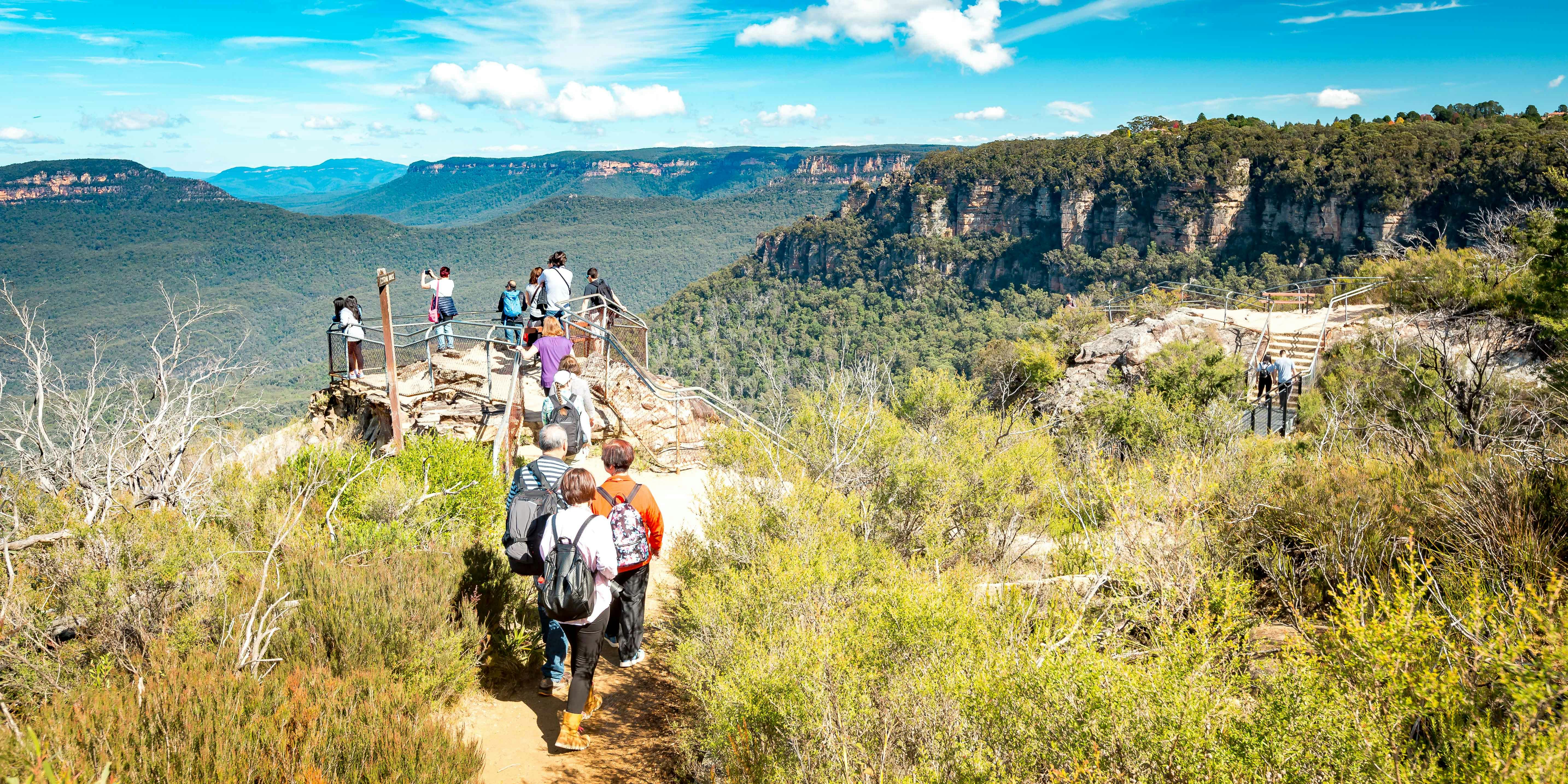 Blue Mountains guided sightseeing bushwalk