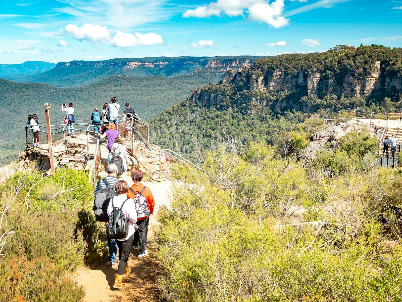 Blue Mountains guided sightseeing bushwalk