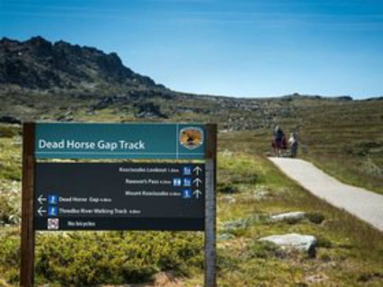 Mt Kosciuszko Walks