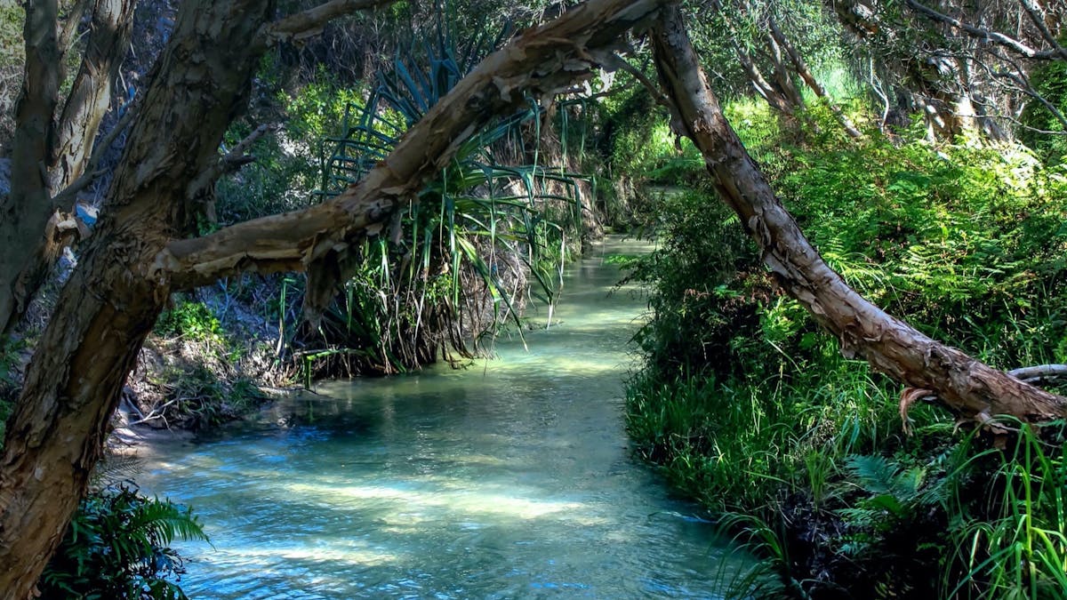 Eli Creek