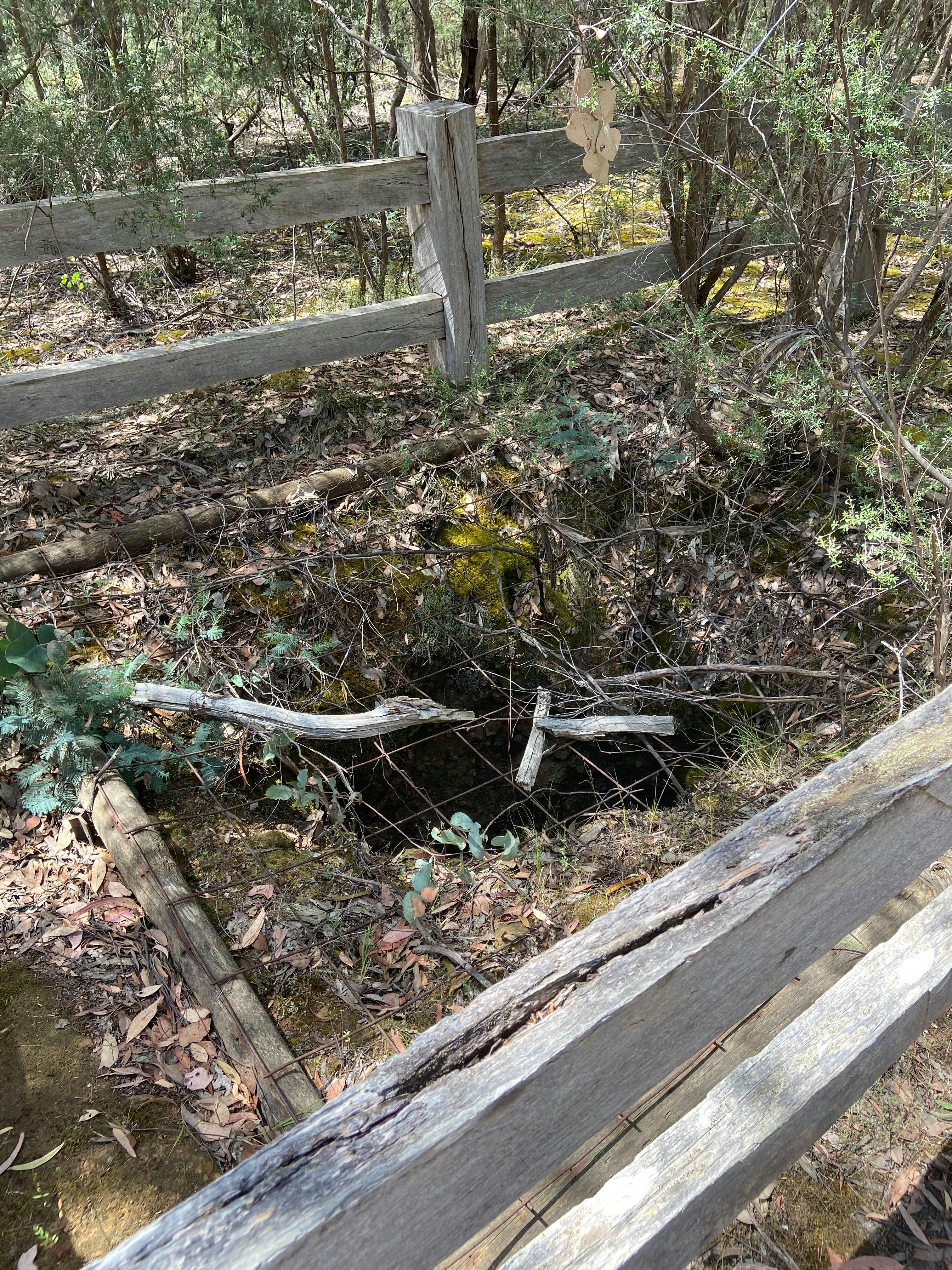 Perfect Cure Creek Nature Trail