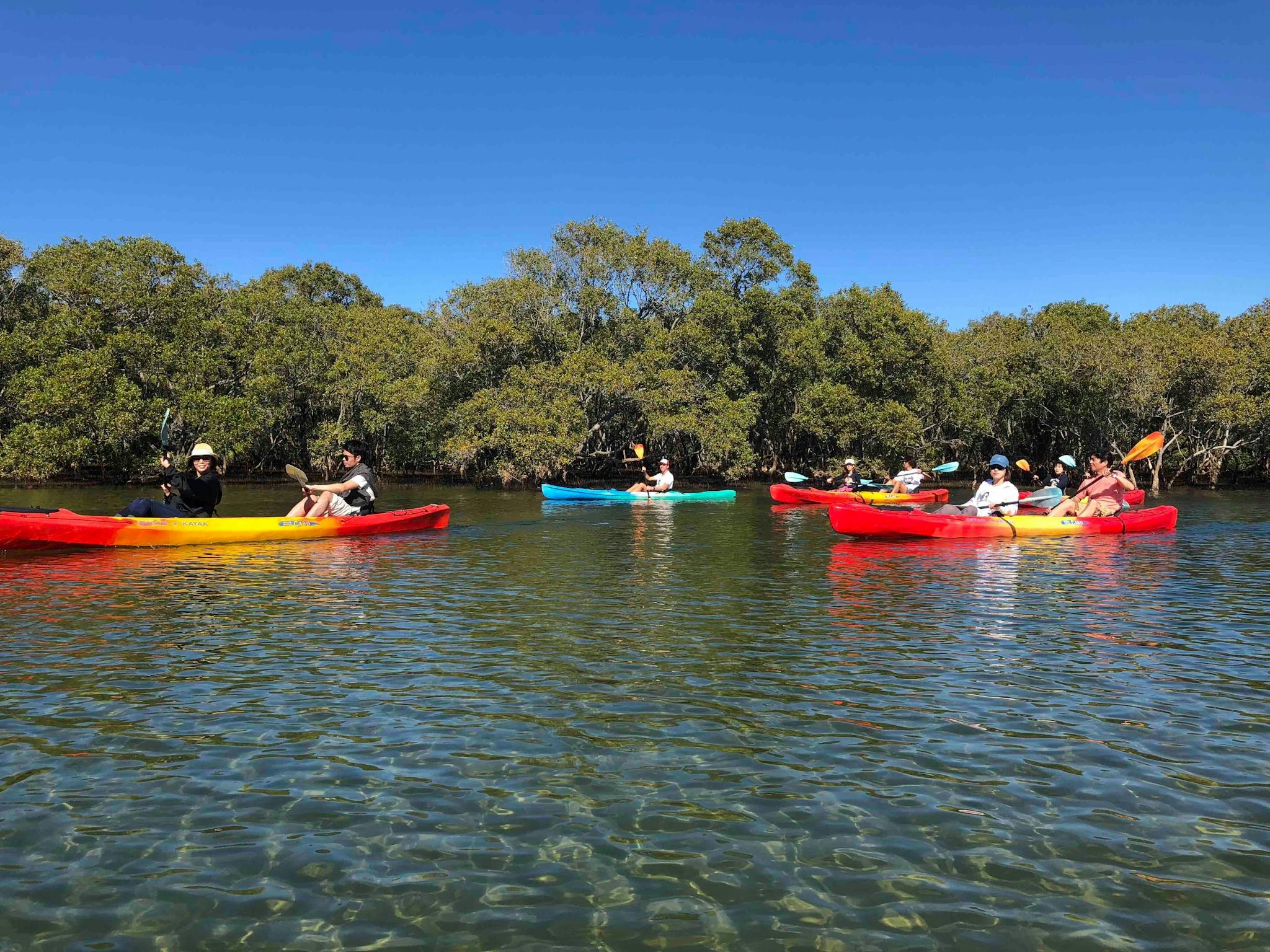 Kayaking at Cudgen Creek