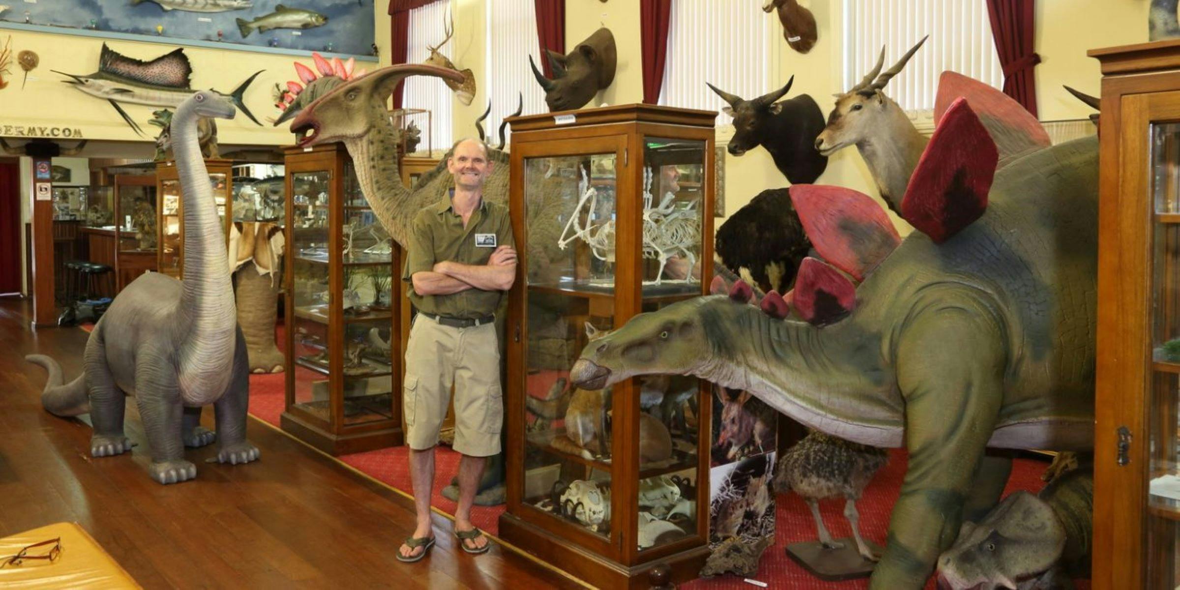 Museum of Natural History - Academy of Taxidermy