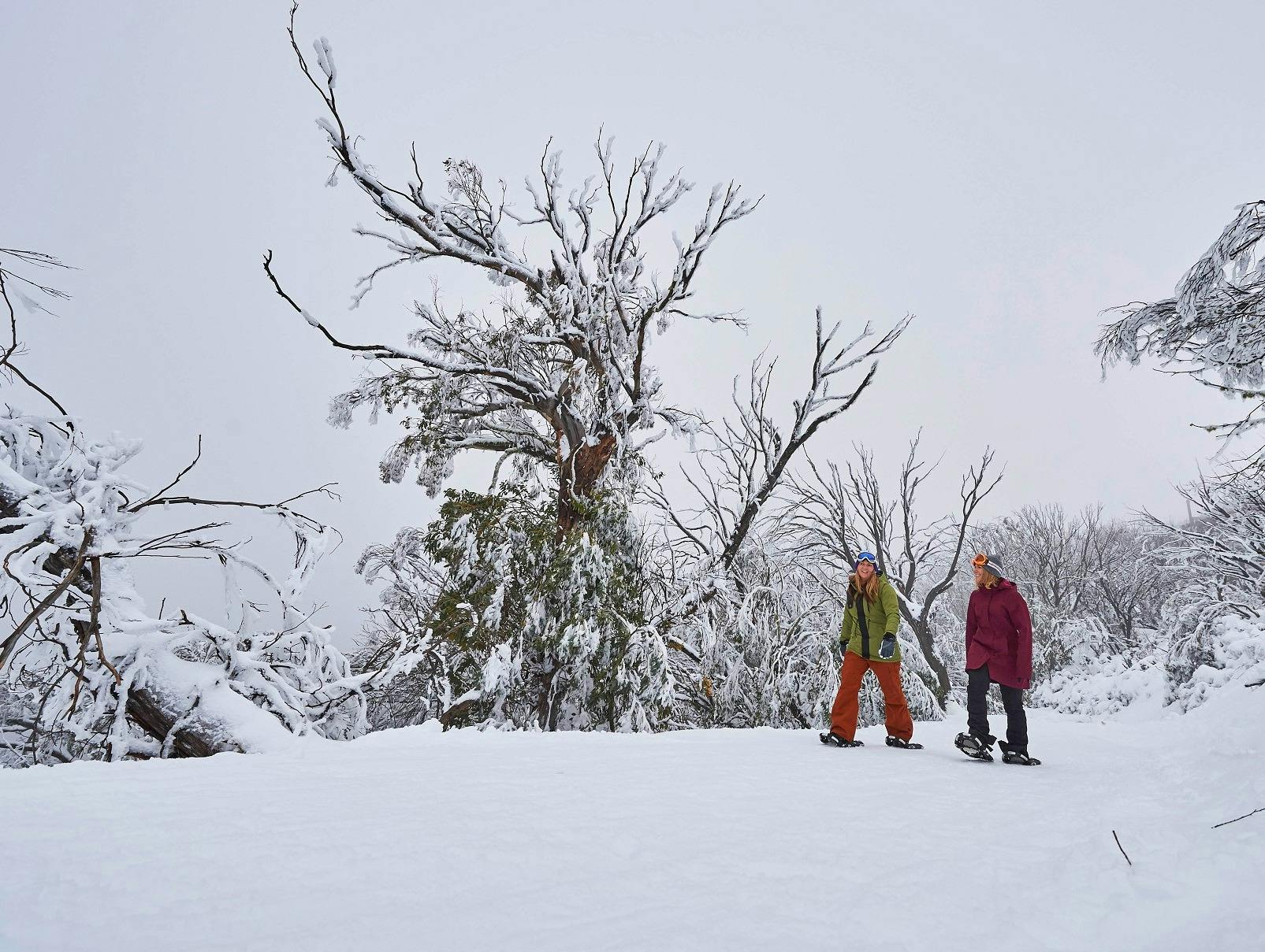 Walking through the snow with snow shoes at Mt Buller