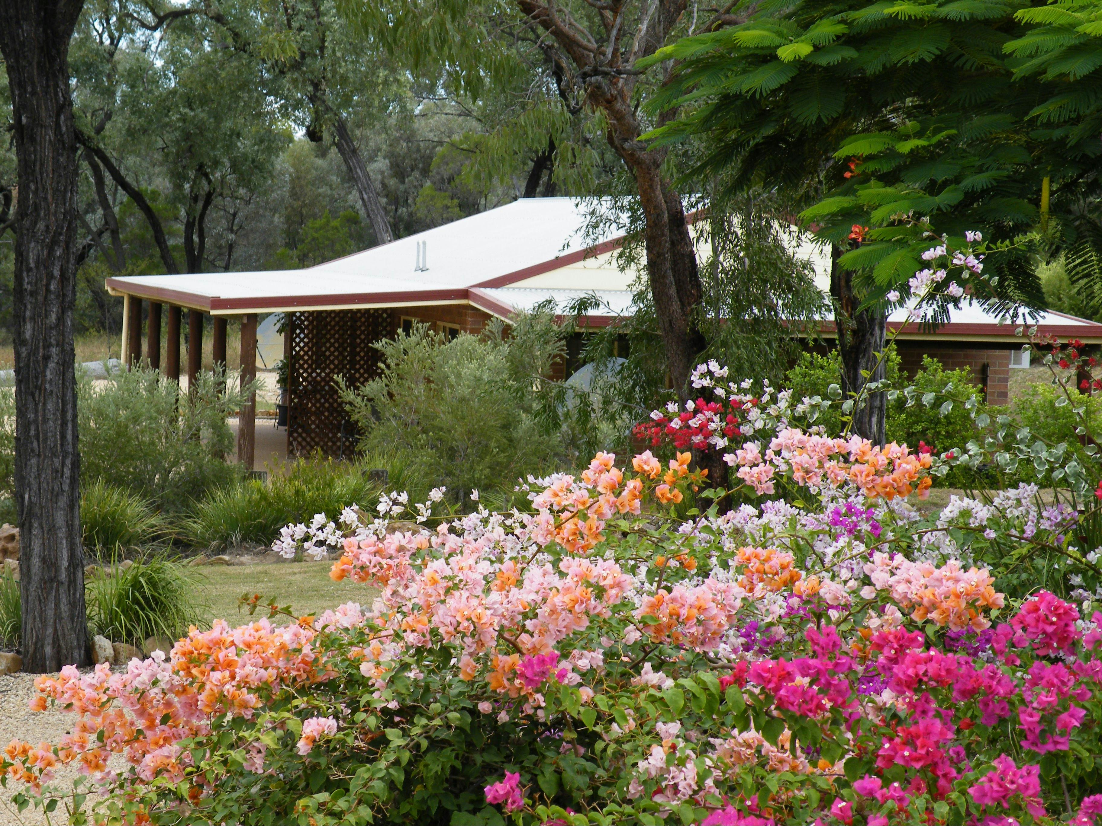 Quiet Private Peaceful Bush Setting Landscaped Gardens