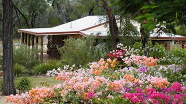 Quiet Private Peaceful Bush Setting Landscaped Gardens Quiet Private Peaceful Bush Setting Landscaped Gardens