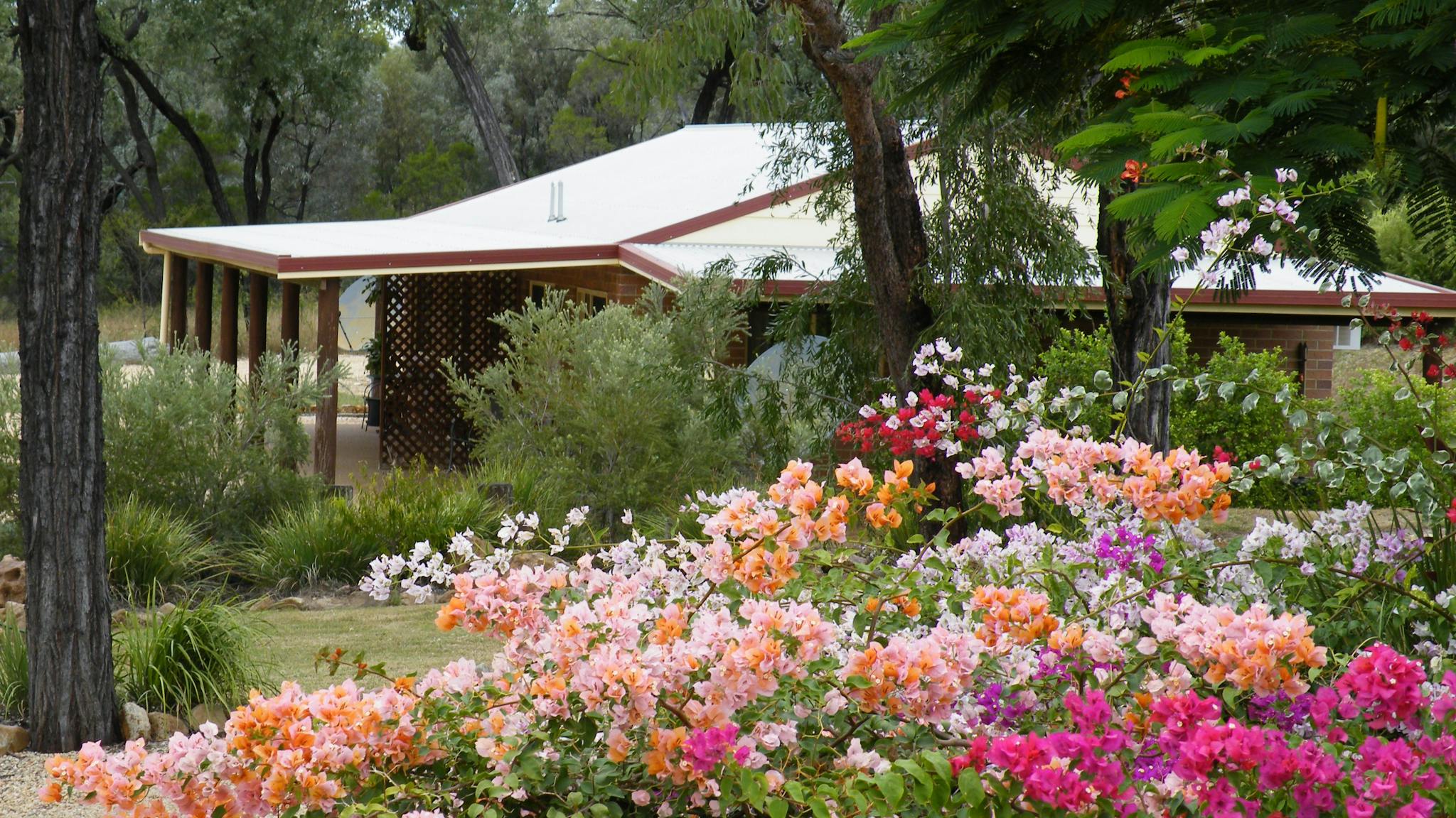 Quiet Private Peaceful Bush Setting Landscaped Gardens Quiet Private Peaceful Bush Setting Landscaped Gardens