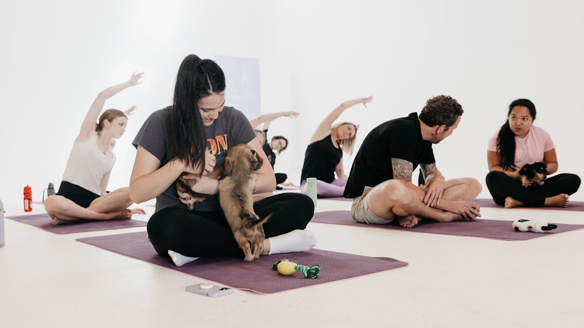 A person joyfully interacts with a miniature dachshund puppy in the foreground, surrounded by a grou