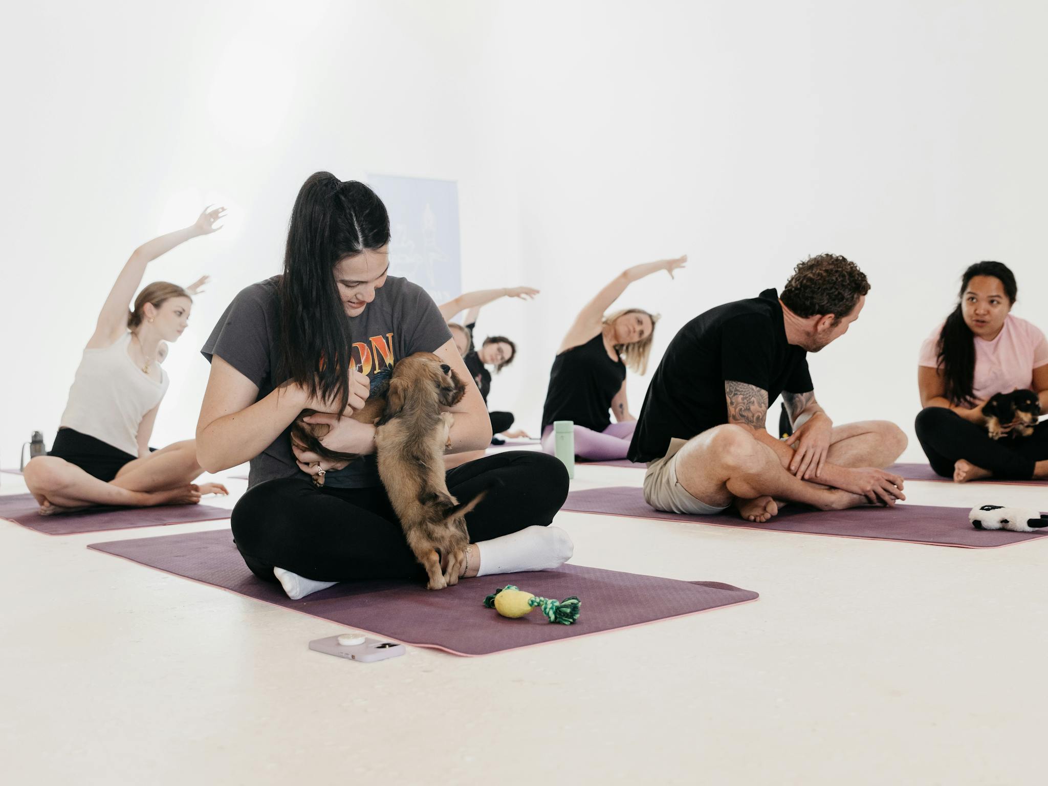 A person joyfully interacts with a miniature dachshund puppy in the foreground, surrounded by a grou A person joyfully interacts with a miniature dachshund puppy in the foreground, surrounded by a grou