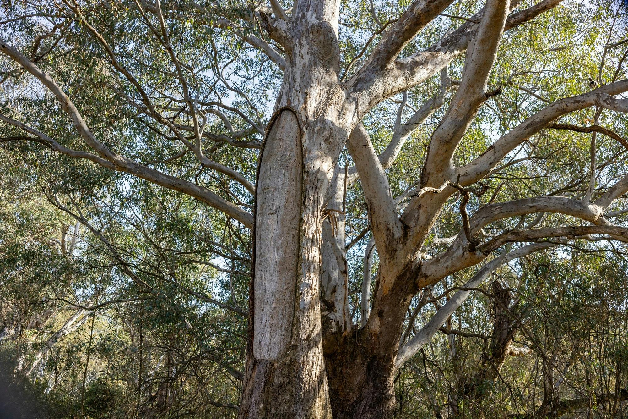 Crossing Place Trail