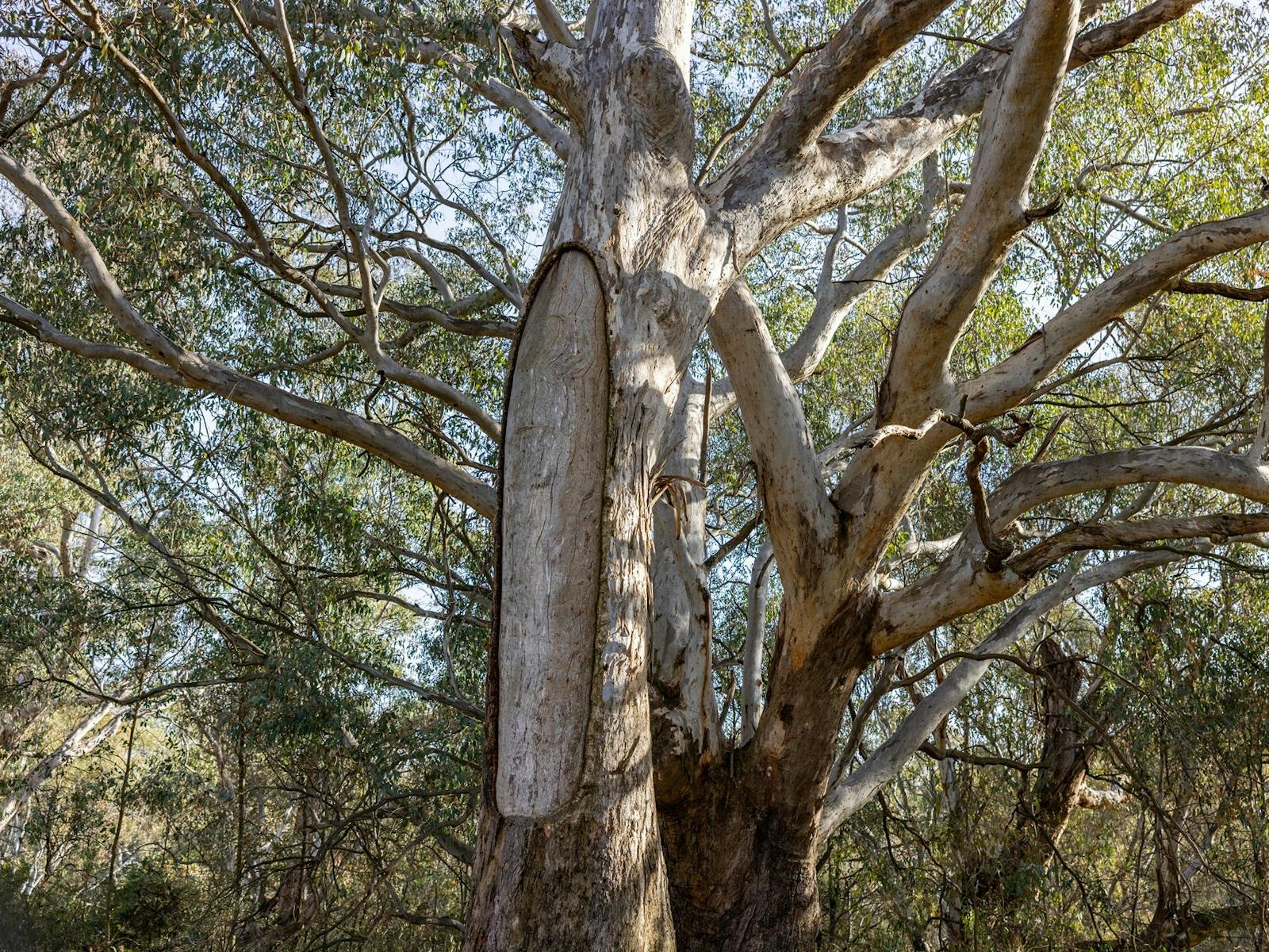 Crossing Place Trail