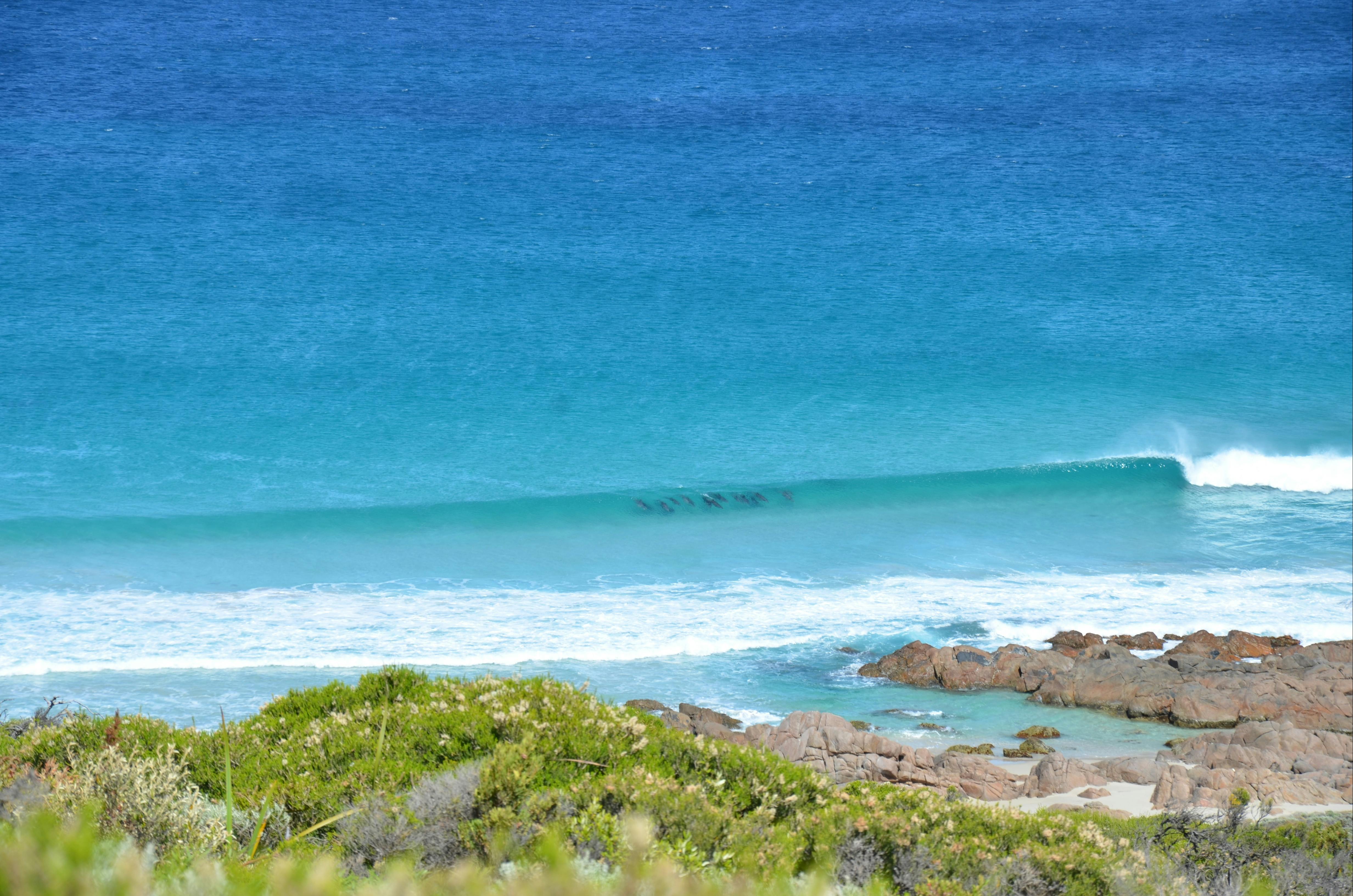 South West Eco Discoveries, Abbey, Western Australia