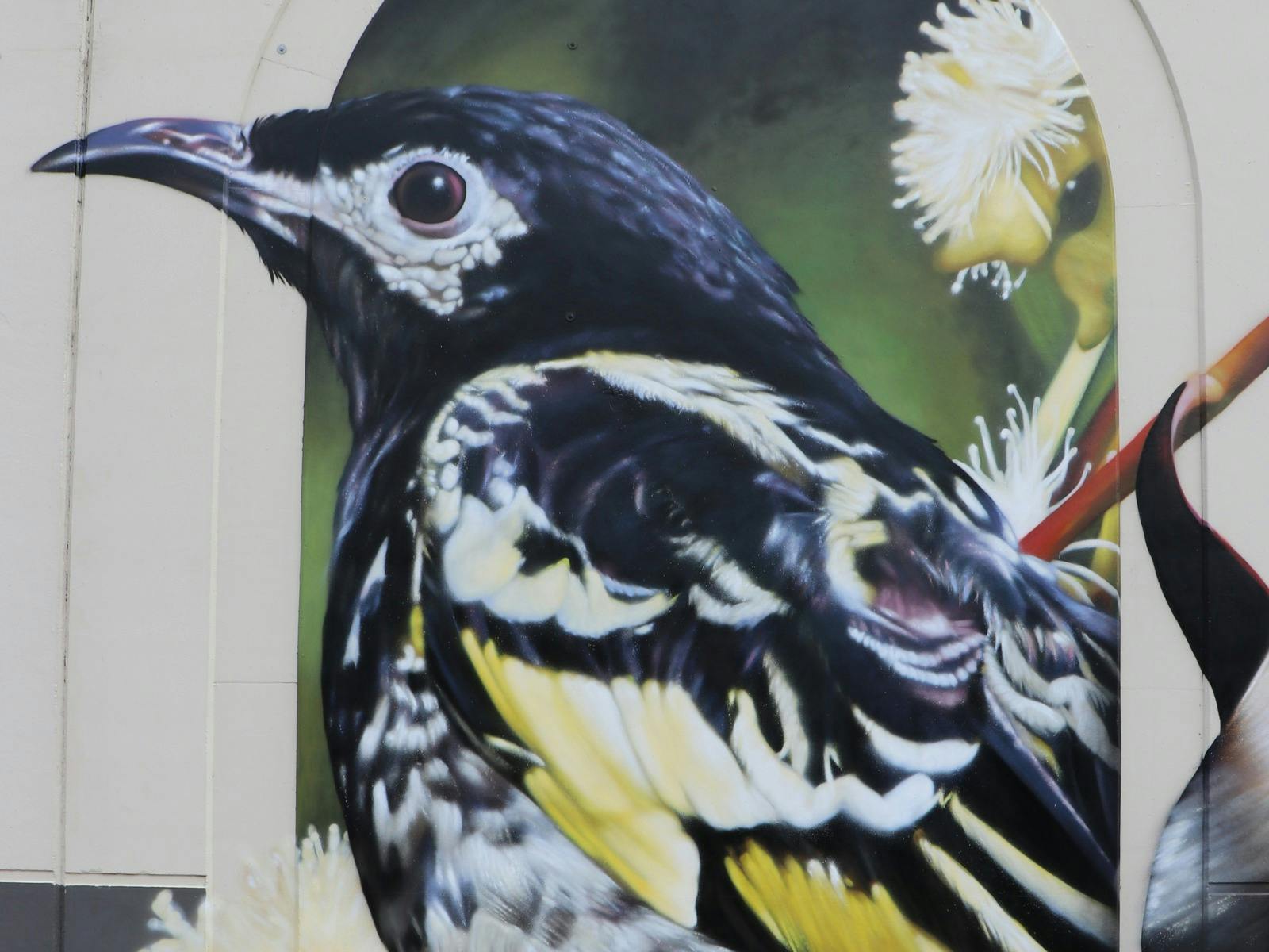 Animal Arches, Picton