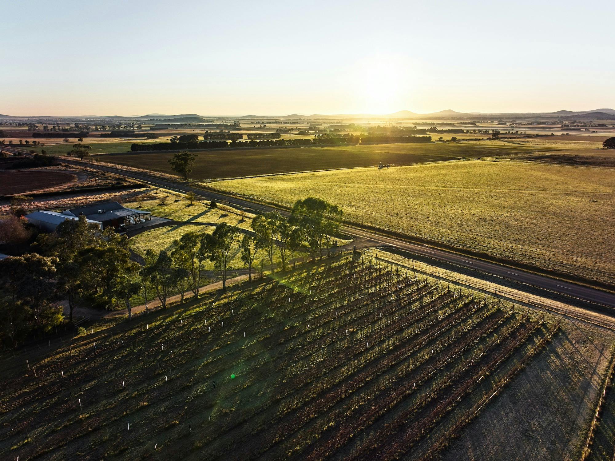 sun glare over a landscape
