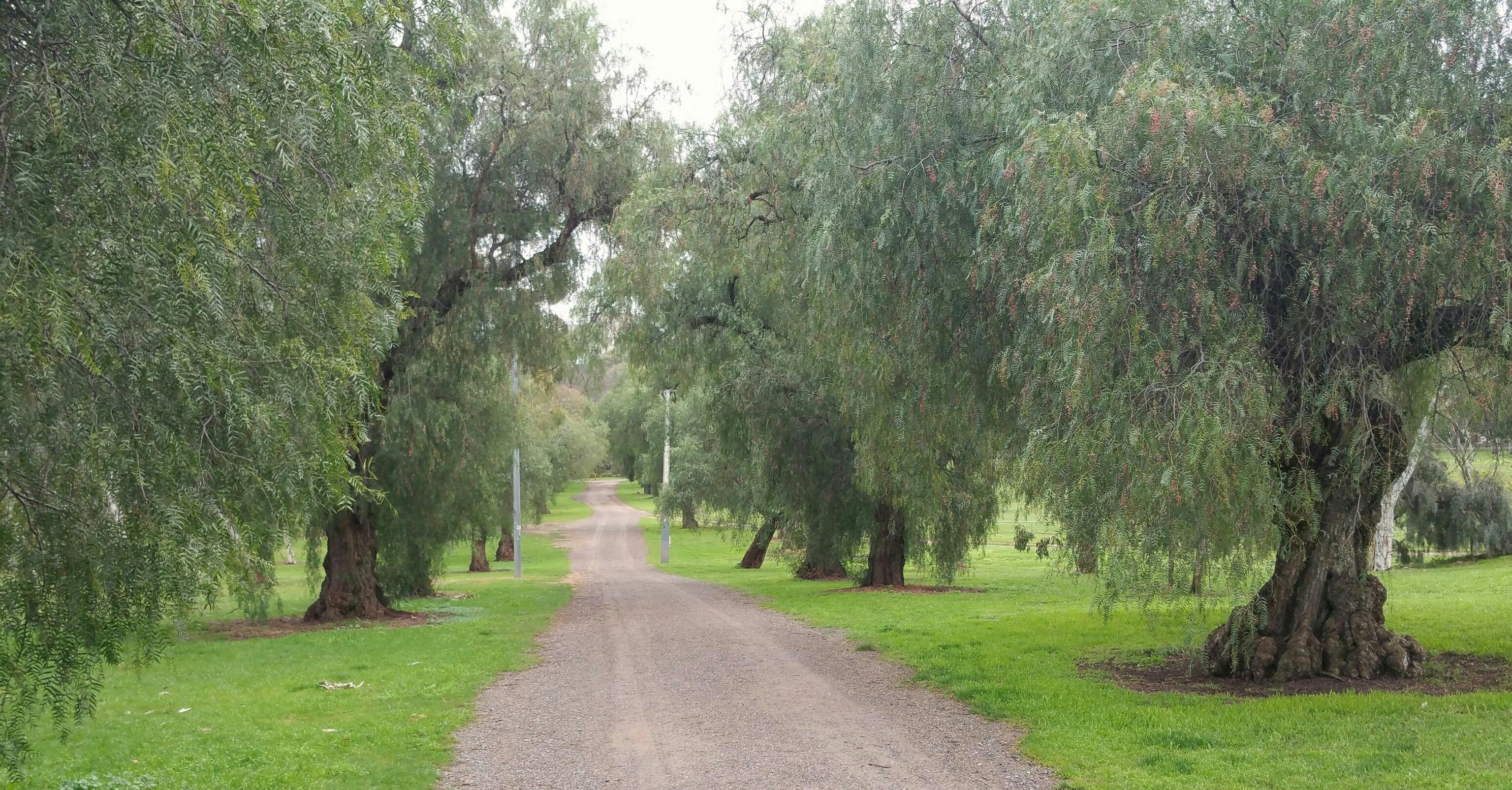 King Rodney Park / Ityamai-itpina (Park 15)